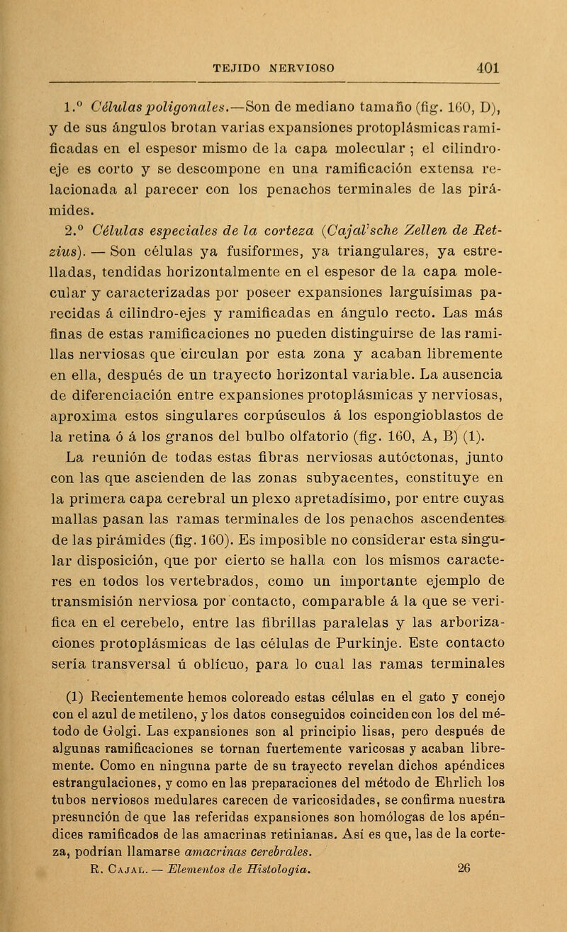 1.° Células poligonales.—iion de mediano tamaño (fig. 1(J0, D), y de sus ángulos brotan varias expansiones protoplásmicas rami- ficadas en el espesor mismo de la capa molecular ; el cilindro- eje es corto y se descompone en una ramificación extensa re- lacionada al parecer con los penachos terminales de las pirá- mides. 2.° Células especiales de la corteza {CajaVsche Zellen de Ret- zius). — Son células ya fusiformes, ya triangulares, ya estre- lladas, tendidas horizoutalmente en el espesor de la capa mole- cular y caracterizadas por poseer expansiones larguísimas pa- recidas á cilindro-ejes y ramificadas en ángulo recto. Las más finas de estas ramificaciones no pueden distinguirse de las rami- llas nerviosas que circulan por esta zona y acaban libremente en ella, después de un trayecto horizontal variable. La ausencia de diferenciación entre expansiones protoplásmicas y nerviosas, aproxima estos singulares corpúsculos á los espongioblastos de la retina ó á los granos del bulbo olfatorio (fig. 160, A, B) (1). La reunión de todas estas fibras nerviosas autóctonas, junto con las que ascienden de las zonas subyacentes, constituye en la primera capa cerebral un plexo apretadísimo, por entre cuyas mallas pasan las ramas terminales de los penachos ascendentes, de las pirámides (fig. 160). Es imposible no considerar esta singu- lar disposición, que por cierto se halla con los mismos caracte- res en todos los vertebrados, como un importante ejemplo de transmisión nerviosa por contacto, comparable á la que se veri- fica en el cerebelo, entre las fibrillas paralelas y las arboriza- ciones protoplásmicas de las células de Purkinje. Este contacto sería transversal ú oblicuo, para lo cual las ramas terminales (1) Recientemente hemos coloreado estas células en el gato y conejo con el azul demetileno, y los datos conseguidos coinciden con los del mé- todo de Golgi. Las expansiones son al principio lisas, pero después de algunas ramificaciones se tornan fuertemente varicosas y acaban libre- mente. Como en ninguna parte de su trayecto revelan dichos apéndices estrangulaciones, y como en las preparaciones del método de Ehrlich los tubos nerviosos medulares carecen de varicosidades, se confirma nuestra presunción de que las referidas expansiones son homologas de los apén- dices ramificados de las amacrinas retinianas. Asi es que, las de la corte- za, podrían llamarse amacrinas cerebrales. R. CaJAL. — Elementos de Histología, 26