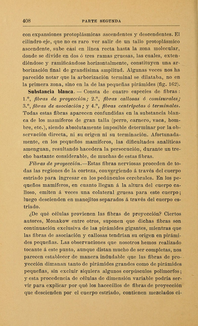con expansiones protoplásmicas ascendentes y descendentes. El cilindro-eje, que no es raro ver salir de un tallo protoplásmico ascendente, sube casi en línea recta tiasta la zona molecular, donde se divide en dos ó tres ramas gruesas, las cuales, exten- diéndose y ramificándose horizontalmente, constituyen una ar- borización final de grandísima amplitud. Algunas veces nos ha parecido notar que la arborización terminal se dilataba, no en la primera zona, sino en la de las pequeñas pirámides (flg. 162). Substancia blanca. — Consta de cuatro especies de fibras : 1., fibras de proyección; 2.°, fibras callosas ó comisuralesj 3.°, fibras de asociación; y 4.°, fibras centrípetas ó terminales. Todas estas fibras aparecen confundidas en la substancia blan- ca de los mamíferos de gran talla (perro, carnero, vaca, hom- bre, etc.), siendo absolutamente imposible determinar por la ob- servación directa, ni su origen ni su terminación. Afortunada- mente, en los pequeños mamíferos, las dificultades analíticas amenguan, resultando hacedera la persecución, durante un tre- cho bastante considerable, de muchas de estas fibras. Fibras de proyección.—Estas fibras nerviosas proceden de to- das las regiones de la corteza, convergiendo á través del cuerpo estriado para ingresar en los pedúnculos cerebrales. En los pe- queños mamíferos, en cuanto llegan á la altura del cuerpo ca- lloso, emiten á veces una colateral gruesa para este cuerpo; luego descienden en manojitos separados á través del cuerpo es- triado. ¿De qué células provienen las fibras de proyección? Ciertos autores, Monakow entre otros, suponen que dichas fibras son continuación exclusiva de las pirámides gigantes, mientras que las fibras de asociación y callosas tendrían su origen en pirámi- des pequeñas. Las observaciones que nosotros hemos realizado tocante á este punto, aunque distan mucho de ser completas, nos parecen establecer de manera indudable que las fibras de pro- yección dimanan tanto de pirámides grandes como de pirámides pequeñas, sin excluir siquiera algunos corpúsculos polimorfos; y esta procedencia de células de dimensión variable podría ser- vir para explicar por qué los hacecillos de fibras de proyección que descienden por el cuerpo estriado, contienen mezclados ci-