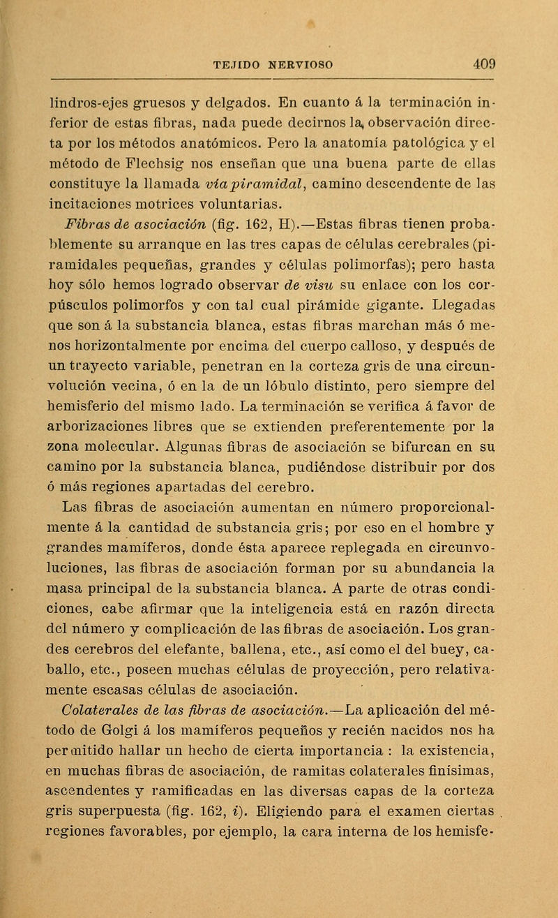 lindros-ejes gruesos y delgados. En cuanto á la terminación in- ferior de estas fibras, nada puede decirnos la, observación direc- ta por los métodos anatómicos. Pero la anatomía patológica y el método de Flechsig nos enseñan que una buena parte de ellas constituye la llamada viapiramidal, camino descendente de las incitaciones motrices voluntarias. Fibras de asociación (fig. 162, H).—Estas fibras tienen proba- blemente su arranque en las tres capas de células cerebrales (pi- ramidales pequeñas, grandes y células polimorfas); pero hasta hoy sólo hemos logrado observar de visu su enlace con los cor- púsculos polimorfos y con tal cual pirámide gigante. Llegadas que son á la substancia blanca, estas fibras marchan más ó me- nos horizontalmente por encima del cuerpo calloso, y después de un trayecto variable, penetran en la corteza gris de una circun- volución vecina, ó en la de un lóbulo distinto, pero siempre del hemisferio del mismo lado. La terminación se verifica á favor de arborizaciones libres que se extienden preferentemente por la zona molecular. Algunas fibras de asociación se bifurcan en su camino por la substancia blanca, pudiéndose distribuir por dos ó más regiones apartadas del cerebro. Las fibras de asociación aumentan en número proporcional- mente á la cantidad de substancia gris; por eso en el hombre y grandes mamíferos, donde ésta aparece replegada en circunvo- luciones, las fibras de asociación forman por su abundancia la masa principal de la substancia blanca. A parte de otras condi- ciones, cabe afirmar que la inteligencia está en razón directa del número y complicación de las fibras de asociación. Los gran- des cerebros del elefante, ballena, etc., así como el del buey, ca- ballo, etc., poseen muchas células de proyección, pero relativa- mente escasas células de asociación. Colaterales de las fibras de asociación.—La aplicación del mé- todo de Golgi á los mamíferos pequeños y recién nacidos nos ha permitido hallar un hecho de cierta importancia : la existencia, en muchas fibras de asociación, de ramitas colaterales finísimas, ascendentes y ramificadas en las diversas capas de la corteza gris superpuesta (fig. 162, i). Eligiendo para el examen ciertas regiones favorables, por ejemplo, la cara interna de los hemisfe-