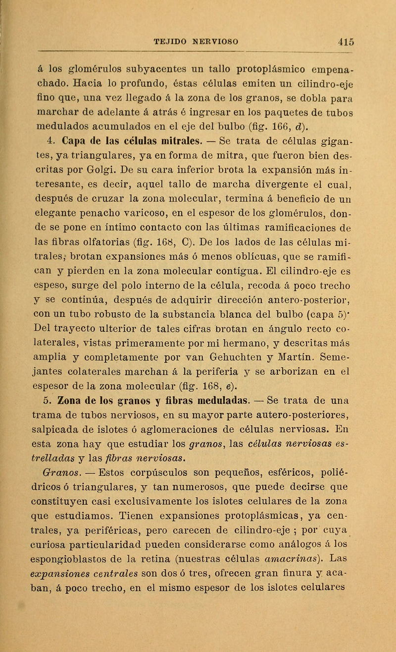 á los glomérulos subyacentes un tallo protoplásmico empena- chado. Hacia lo profundo, éstas células emiten un cilindro-eje fino que, una vez llegado á la zona de los granos, se dobla para marchar de adelante á atrás é ingresar en los paquetes de tubos modulados acumulados en el eje del bulbo (fig. 166, d). 4. Capa (le las células ¡nitrales. — Se trata de células gigan- tes, ya triangulares, ya en forma de mitra, que fueron bien des- critas por Golgi. De su cara inferior brota la expansión más in- teresante, es decir, aquel tallo de marcha divergente el cual, después de cruzar la zona molecular, termina á beneficio de un elegante penacho varicoso, en el espesor de los glomérulos, don- de se pone en intimo contacto con las últimas ramificaciones de las fibras olfatorias (fig. 168, C). De los lados de las células mi- trales, brotan expansiones más ó menos oblicuas, que se ramifi- can y pierden en la zona molecular contigua. El cilindro-eje es espeso, surge del polo interno de la célula, recoda á poco trecho y se continúa, después de adquirir dirección antero-posterior, con un tubo robusto de la substancia blanca del bulbo (capa 5)* Del trayecto ulterior de tales cifras brotan en ángulo recto co- laterales, vistas primeramente por mi hermano, y descritas más amplia y completamente por van Gehuchten y Martin. Seme- jantes colaterales marchan á la periferia y se arborizan en el espesor de la zona molecular (fig. 168, e). 5. Zona de los granos y fibras meduladas. — Se trata de una trama de tubos nerviosos, en su mayor parte autero-posteriores, salpicada de islotes ó aglomeraciones de células nerviosas. En esta zona hay que estudiar los granos^ las células nerviosas es- trelladas y las fibras nerviosas. Granos. — Estos corpúsculos son pequeños, esféricos, polié- dricos ó triangulares, y tan numerosos, que puede decirse que constituyen casi exclusivamente los islotes celulares de la zona que estudiamos. Tienen expansiones protoplásmicas, ya cen- trales, ya periféricas, pero carecen de cilindro-eje 5 por cuya curiosa particularidad pueden considerarse como análogos á los espongioblastos de la retina (nuestras células amacrinas). Las expansiones centrales son dos ó tres, ofrecen gran finura y aca- ban, á poco trecho, en el mismo espesor de los islotes celulares