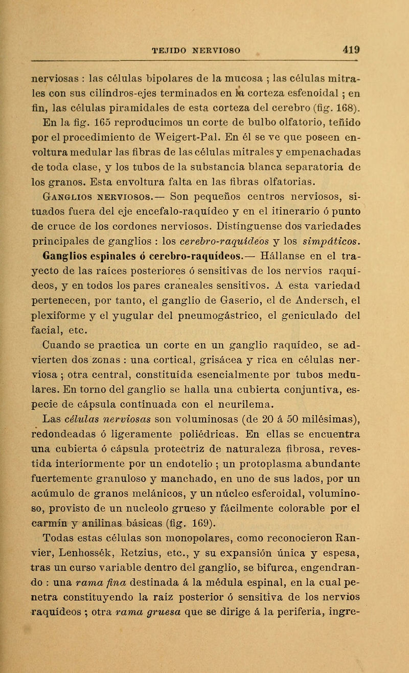 nerviosas : las células bipolares de la mucosa ; las células mitra- íes con sus cilindros-ejes terminados en m corteza esfenoidal ; en fin, las células piramidales de esta corteza del cerebro (fig. 168). En la ñg. 165 reproducimos un corte de bulbo olfatorio, teñido por el procedimiento de Weigert-Pal. En él se ve que poseen en- voltura medular las fibras de las células mitrales y empenachadas de toda clase, y los tubos de la substancia blanca separatoria de los granos. Esta envoltura falta en las fibras olfatorias. Ganglios nerviosos.— Son pequeños centros nerviosos, si- tuados fuera del eje encéfalo-raquídeo y en el itinerario ó punto de cruce de los cordones nerviosos. Distínguense dos variedades principales de ganglios : los cerebro-raquídeos y los simpáticos. Ganglios espinales ó cerebro-raquídeos.— Hállanse en el tra- yecto de las raíces posteriores ó sensitivas de los nervios raquí- deos, y en todos los pares craneales sensitivos. A esta variedad pertenecen, por tanto, el ganglio de Gaserio, el de Andersch, el plexiforme y el yugular del pneumogástrico, el geniculado del facial, etc. Cuando se practica un corte en un ganglio raquídeo, se ad- vierten dos zonas : una cortical, grisácea y rica en células ner- viosa ; otra central, constituida esencialmente por tubos medu- lares. En torno del ganglio se halla una cubierta conjuntiva, es- pecie de cápsula continuada con el neurilema. Las células nerviosas son voluminosas (de 20 á 50 milésimas), redondeadas ó ligeramente poliédricas. En ellas se encuentra una cubierta ó cápsula protectriz de naturaleza fibrosa, reves- tida interiormente por un endotelio ; un protoplasma abundante fuertemente granuloso y manchado, en uno de sus lados, por un acumulo de granos melánicos, y un núcleo esferoidal, volumino- so, provisto de un nucléolo grueso y fácilmente colorable por el carmín y anilinas básicas (fig. 169). Todas estas células son monopolares, como reconocieron Ran- vier, Lenhossék, Retzius, etc., y su expansión única y espesa, tras un curso variable dentro del ganglio, se bifurca, engendran- do : una rama fina destinada á la médula espinal, en la cual pe- netra constituyendo la raíz posterior ó sensitiva de los nervios raquídeos ; otra rama gruesa que se dirige á la periferia, ingre-