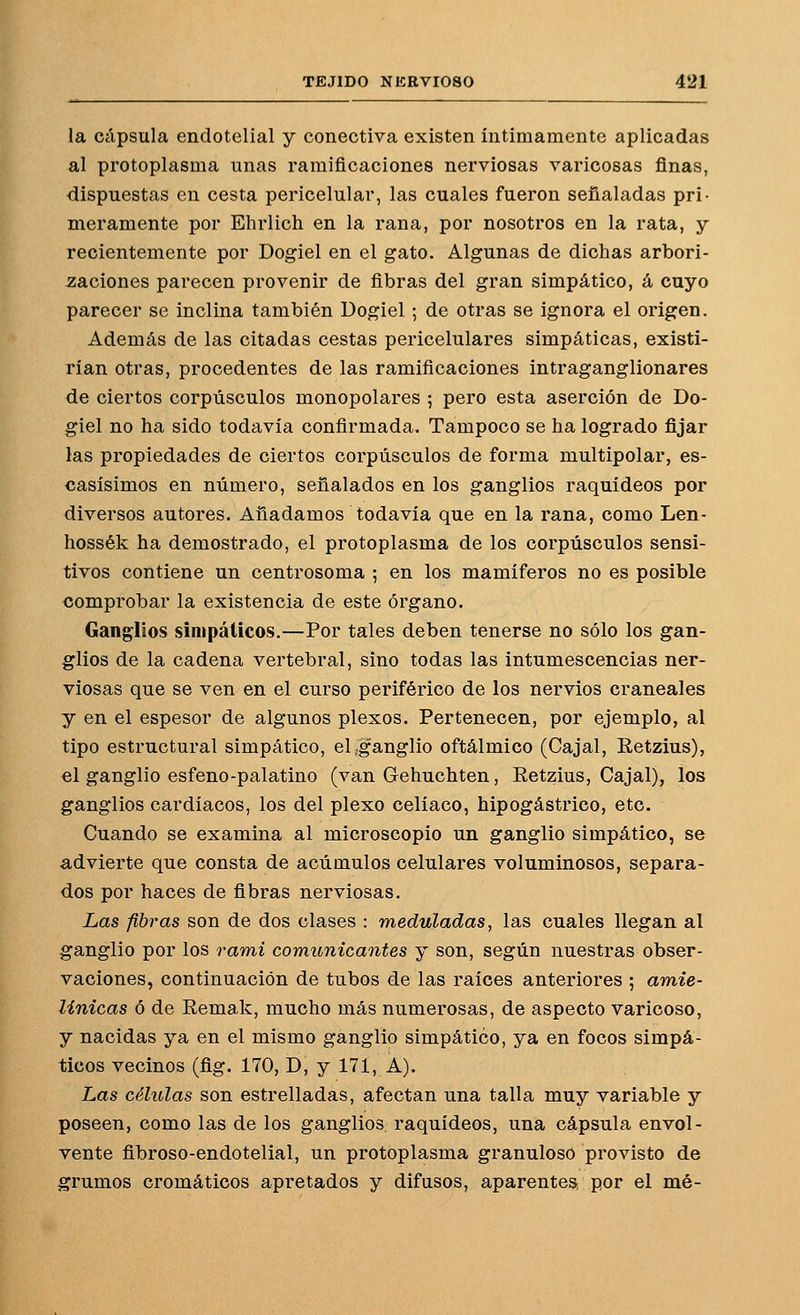la cápsula endotelial y conectiva existen íntimamente aplicadas al protoplasma unas ramificaciones nerviosas varicosas finas, dispuestas en cesta pericelular, las cuales fueron señaladas pri- meramente por Ehrlich en la rana, por nosotros en la rata, y recientemente por Dogiel en el gato. Algunas de dichas arbori- zaciones parecen provenir de fibras del gran simpático, á cuyo parecer se inclina también Dogiel; de otras se ignora el origen. Además de las citadas cestas pericelulares simpáticas, existi- rían otras, procedentes de las ramificaciones intraganglionares de ciertos corpúsculos monopolares ; pero esta aserción de Do- giel no ha sido todavía confirmada. Tampoco se ha logrado fijar las propiedades de ciertos corpúsculos de forma multipolar, es- casísimos en número, señalados en los ganglios raquídeos por diversos autores. Añadamos todavía que en la rana, como Len- hossék ha demostrado, el protoplasma de los corpúsculos sensi- tivos contiene un centrosoma ; en los mamíferos no es posible comprobar la existencia de este órgano. Ganglios simpáticos.—Por tales deben tenerse no sólo los gan- glios de la cadena vertebral, sino todas las intumescencias ner- viosas que se ven en el curso periférico de los nervios craneales y en el espesor de algunos plexos. Pertenecen, por ejemplo, al tipo estructural simpático, el,ganglio oftálmico (Cajal, Retzius), el ganglio esfeno-palatino (van Gehuchten, Retzius, Cajal), los ganglios cardíacos, los del plexo celíaco, hipogástrico, etc. Cuando se examina al microscopio un ganglio simpático, se advierte que consta de acumules celulares voluminosos, separa- dos por haces de fibras nerviosas. Las fibras son de dos clases : meduladas, las cuales llegan al ganglio por los rami comunicantes y son, según nuestras obser- vaciones, continuación de tubos de las raíces anteriores ; amie- linicas ó de Remak, mucho más numerosas, de aspecto varicoso, y nacidas ya en el mismo ganglio simpático, ya en focos simpá- ticos vecinos (fig. 170, D, y 171, A). Las células son estrelladas, afectan una talla muy variable y poseen, como las de los ganglios raquídeos, una cápsula envol- vente fibroso-endotelial, un protoplasma granuloso provisto de grumos cromáticos apretados y difusos, aparentes, por el mé-