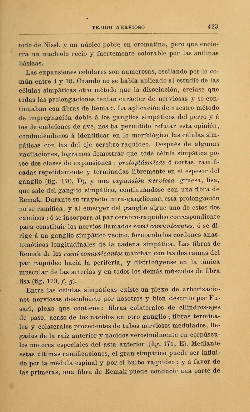 todo de Nissl, y un núcleo pobre en cromatina, pero que encie- rra un nucléolo recio y fuertemente colorable por las anilinas básicas. Las expansiones celulares son numerosas, oscilando por lo co- mún entre 4 y 10. Cuando no se había aplicado al estudio de las células simpáticas otro método que la disociación, creíase que todas las prolongaciones tenían carácter de nerviosas y se con- tinuaban con fibras de Remak. La aplicación de nuestro método de impregnación doble á los ganglios simpáticos del perro y á los de embriones de ave, nos ha permitido refutar esta opinión, conduciéndonos á identificar en lo morfológico las células sim- páticas con las del eje cerebro-raquídeo. Después de algunas vacilaciones, logramos demostrar que toda célula simpática po- see dos clases de expansiones : pr oto plásmicas ó cortas, ramifi- cadas repetidamente y terminadas libremente en el espesor del ganglio (flg. 170, D), y una expansión nerviosa, gruesa, lisa, que sale del ganglio simpático, continuándose con una fibra de Remak. Durante su trayecto intra-ganglionar, esta prolongación no se ramifica, y al emerger del ganglio sigue uno de estos dos caminos : ó se incorpora al par cerebro-raquídeo correspondiente para constituir los nervios llamados rami comunicantes^ ó se di- rige á un ganglio simpático vecino, formando los cordones anas- tomóticos longitudinales de la cadena simpática. Las fibras de Remak de los rami comunicantes marchan con las dos ramas del par raquídeo hacia la periferia, y distribúyense en la túnica muscular de las arterias y en todos los demás músculos de fibra lisa (fig. 170, /, g). Entre las células simpáticas existe un plexo de arborizacio- nes nerviosas descubierto por nosotros y bien descrito por Fu- sari, plexo que contiene : fibras colaterales de cilindros-ejes de paso, acaso de los nacidos en otro ganglio ; fibras termina- les y colaterales procedentes de tubos nerviosos modulados, lle- gados de la raíz anterior y nacidos verosímilmente en corpúscu- los motores especiales del asta anterior (fig. 171, E). Mediante estas últimas ramificaciones, el gran simpático puede ser influí- do por la médula espinal y por el bulbo raquídeo ; y á favor de las primeras, una fibra de Remak puede conducir una parte de