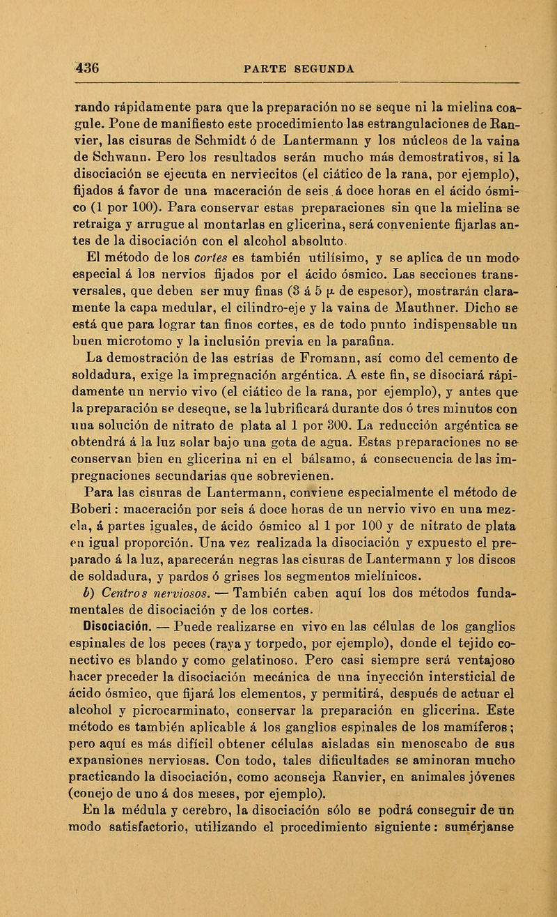 rando rápidamente para que la preparación no se seque ni la mielina coa- gule. Pone de manifiesto este procedimiento las estrangulaciones de Ran- vier, las cisuras de Schmidt ó de Lantermann y los núcleos de la vaina de Schwann. Pero los resultados serán mucho más demostrativos, si la disociación se ejecuta en nerviecitos (el ciático de la rana, por ejemplo),^ fijados á favor de una maceración de seisá doce horas en el ácido ósmi- co (1 por 100). Para conservar estas preparaciones sin que la mielina se retraiga y arrugue al montarlas en glicerina, será conveniente fijarlas an- tes de la disociación con el alcohol absoluto. El método de los cortes es también útilísimo, y se aplica de un moda especial á los nervios fijados por el ácido ósmico. Las secciones trans- versales, que deben ser muy finas (3 á 5 p. de espesor), mostrarán clara- mente la capa medular, el cilindro-eje y la vaina de Mauthner. Dicho se está que para lograr tan finos cortes, es de todo punto indispensable un buen microtomo y la inclusión previa en la parafina. La demostración de las estrías de Fromann, así como del cemento de soldadura, exige la impregnación argéntica. A este fin, se disociará rápi- damente un nervio vivo (el ciático de la rana, por ejemplo), y antes que la preparación se deseqxie, se la lubrificará durante dos ó tres minutos con una sohición de nitrato de plata al 1 por 300. La reducción argéntica se obtendrá á la luz solar bajo una gota de agua. Estas preparaciones no se conservan bien en glicerina ni en el bálsamo, á consecuencia de las im- pregnaciones secundarias que sobrevienen. Para las cisuras de Lantermann, conviene especialmente el método de Boberi: maceración por seis á doce horas de un nervio vivo en una mez- cla, á partes iguales, de ácido ósmico al 1 por 100 y de nitrato de plata en igual proporción. Una vez realizada la disociación y expuesto el pre- parado á la luz, aparecerán negras las cisuras de Lantermann y los discos de soldadura, y pardos ó grises los segmentos mielínicos. b) Centros nerviosos. — También caben aquí los dos métodos funda- mentales de disociación y de los cortes. Disociación. — Puede realizarse en vivo en las células de los ganglios espinales de los peces (raya y torpedo, por ejemplo), donde el tejido co- nectivo es blando y como gelatinoso. Pero casi siempre será ventajoso hacer preceder la disociación mecánica de itna inyección intersticial de ácido ósmico, que fijará los elementos, y permitirá, después de actuar el alcohol y picrocarminato, conservar la preparación en glicerina. Este método es también aplicable á los ganglios espinales de los mamíferos; pero aquí es más difícil obtener células aisladas sin menoscabo de sus expansiones nerviosas. Con todo, tales dificultades se aminoran mucho practicando la disociación, como aconseja Ranvier, en animales jóvenes (conejo de uno á dos meses, por ejemplo). En la médula y cerebro, la disociación sólo se podrá conseguir de un modo satisfactorio, utilizando el procedimiento siguiente: sumérjanse