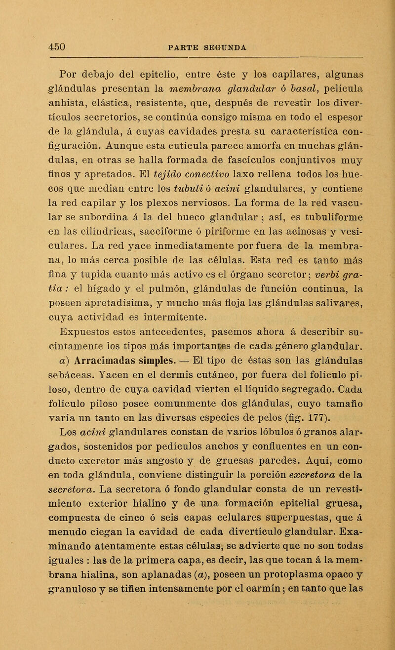 Por debajo del epitelio, entre éste y los capilares, algunas glándulas presentan la membrana glandular ó basal, película anhlsta, elástica, resistente, que, después de revestir los diver- tículos secretorios, se continúa consigo misma en todo el espesor de la glándula, á cuyas cavidades presta su característica con- figuración. Aunque esta cutícula parece amorfa en muchas glán- dulas, en otras se halla formada de fascículos conjuntivos muy finos y apretados. El tejido conectivo laxo rellena todos los hue- cos que median entre los tubuli ó acini glandulares, y contiene la red capilar y los plexos nerviosos. La forma de la red vascu- lar se subordina á la del hueco glandular ; así, es tubuliforme en las cilindricas, sacciforme ó piriforme en las acinosas y vesi- culares. La red yace inmediatamente por fuera de la membra- na, lo más cerca posible de las células. Esta red es tanto más fina y tupida cuanto más activo es el órgano secretor; verhi gra- tia: el hígado y el pulmón, glándulas de función continua, la poseen apretadísima, y mucho más ñoja las glándulas salivares, cuya actividad es intermitente. Expuestos estos antecedentes, pasemos ahora á describir su- cintamente ios tipos más importantes de cada género glandular. a) Arracimadas simples. — El tipo de éstas son las glándulas sebáceas. Yacen en el dermis cutáneo, por fuera del folículo pi- loso, dentro de cuya cavidad vierten el líquido segregado. Cada folículo piloso posee comunmente dos glándulas, cuyo tamaño varía un tanto en las diversas especies de pelos (fig. 177). Los acini glandulares constan de varios lóbulos ó granos alar- gados, sostenidos por pedículos anchos y confluentes en un con- ducto excretor más angosto y de gruesas paredes. Aquí, como en toda glándula, conviene distinguir la porción excretora de la secretora. La secretora ó fondo glandular consta de un revesti- miento exterior hialino y de una formación epitelial gruesa, compuesta de cinco ó seis capas celulares superpuestas, que á menudo ciegan la cavidad de cada divertículo glandular. Exa- minando atentamente estas células, se advierte que no son todas iguales : las de la primera capa, es decir, las que tocan á la mem- brana hialina, son aplanadas (a), poseen un protoplasma opaco y granuloso y se tiñen intensamente por el carmín 5 en tanto que las