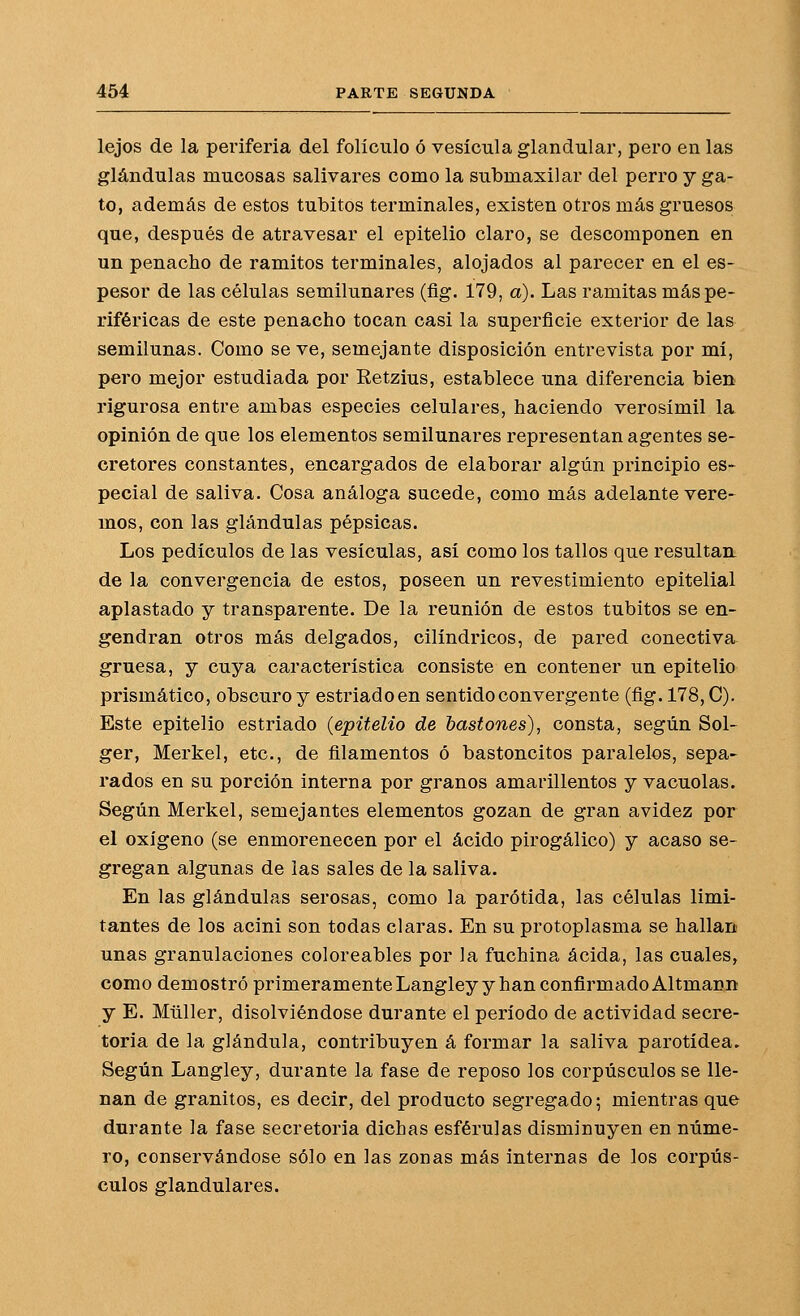 lejos de la periferia del folículo ó vesícula glandular, pero en las glándulas mucosas salivares como la submaxilar del perro y ga- to, además de estos tubitos terminales, existen otros más gruesos que, después de atravesar el epitelio claro, se descomponen en un penacho de ramitos terminales, alojados al parecer en el es- pesor de las células semilunares (fig. 179, a). Las ramitas más pe- riféricas de este penacho tocan casi la superficie exterior de las semilunas. Como se ve, semejante disposición entrevista por mí, pero mejor estudiada por Eetzius, establece una diferencia bien rigurosa entre ambas especies celulares, haciendo verosímil la opinión de que los elementos semilunares representan agentes se- cretores constantes, encargados de elaborar algún principio es- pecial de saliva. Cosa análoga sucede, como más adelante vere- mos, con las glándulas pépsicas. Los pedículos de las vesículas, así como los tallos que resultan. de la convergencia de estos, poseen un revestimiento epitelial aplastado y transparente. De la reunión de estos tubitos se en- gendran otros más delgados, cilindricos, de pared conectiva gruesa, y cuya característica consiste en contener un epitelio prismático, obscuro y estriado en sentido convergente (ñg. 178, C). Este epitelio estriado {epitelio de bastones), consta, según Sol- ger, Merkel, etc., de filamentos ó bastoncitos paralelos, sepa- rados en su porción interna por granos amarillentos y vacuolas. Según Merkel, semejantes elementos gozan de gran avidez por el oxígeno (se enmoreneoen por el ácido pirogálico) y acaso se- gregan algunas de las sales de la saliva. En las glándulas serosas, como la parótida, las células limi- tantes de los acini son todas claras. En su protoplasma se hallan unas granulaciones coloreables por la fuchina acida, las cuales, como demostró primeramenteLangleyy han confirmado Altmann y E. Müller, disolviéndose durante el período de actividad secre- toria de la glándula, contribuyen á formar la saliva parotídea. Según Langley, durante la fase de reposo los corpúsculos se lle- nan de granitos, es decir, del producto segregado; mientras que durante la fase secretoria dichas esférulas disminuyen en núme- ro, conservándose sólo en las zonas más internas de los corpús- culos glandulares.
