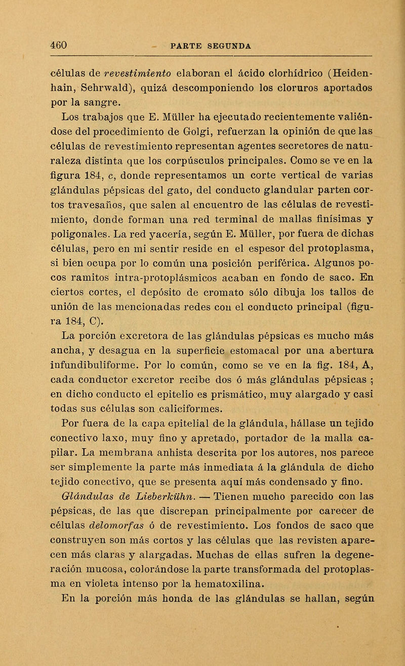 células de revestimiento elaboran el ácido clorhídrico (Heiden- hain, Sehrwald), quizá descomponiendo los cloruros aportados por la sangre. Los trabajos que E. Müller ha ejecutado recientemente valién- dose del procedimiento de Golgi, refaerzan la opinión de que las células de revestimiento representan agentes secretores de natu- raleza distinta que los corpúsculos principales. Como se ve en la figura 184, c, donde representamos un corte vertical de varias glándulas pépsicas del gato, del conducto glandular parten cor- tos travesanos, que salen al encuentro de las células de revesti- miento, donde forman una red terminal de mallas finísimas y poligonales. La red yacería, según E. Müller, por fuera de dichas células, pero en mi sentir reside en el espesor del protoplasma, si bien ocupa por lo común una posición periférica. Algunos po- cos ramitos intra-protoplásmicos acaban en fondo de saco. En ciertos cortes, el depósito de cromato sólo dibuja los tallos de unión de las mencionadas redes con el conducto principal (figu- ra 184, C). La porción excretora de las glándulas pépsicas es mucho más ancha, y desagua en la superficie estomacal por ana abertura infundibuliforme. Por lo común, como se ve en la fig. 184, A, cada conductor excretor recibe dos ó más glándulas pépsicas 5 en dicho conducto el epitelio es prismático, muy alargado y casi todas sus células son caliciformes. Por fuera de la capa epitelial de la glándula, hállase un tejido conectivo laxo, muy fino y apretado, portador de la malla ca- pilar. La membrana anhista descrita por los autores, nos parece ser simplemente la parte más inmediata á la glándula de dicho tejido conectivo, que se presenta aquí más condensado y fino. Glándulas de Lieberkühn. — Tienen mucho parecido con las pépsicas, de las que discrepan principalmente por carecer de células delomorfas ó de revestimiento. Los fondos de saco que construyen son más cortos y las células que las revisten apare- cen más claras y alargadas. Muchas de ellas sufren la degene- ración mucosa, colorándose la parte transformada del protoplas- ma en violeta intenso por la hematoxilina. En la porción más honda de las glándulas se hallan, según