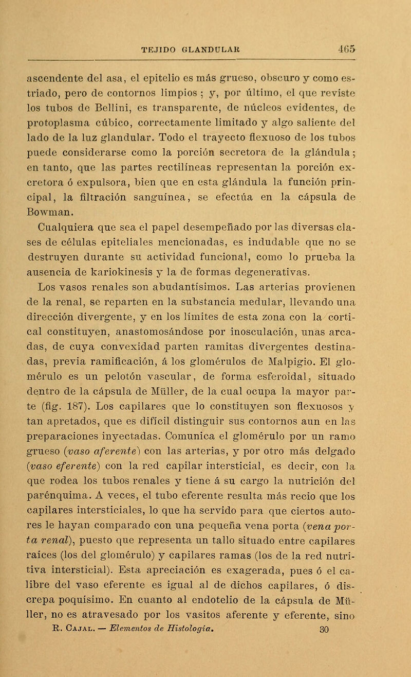 ascendente del asa, el epitelio es más grueso, obscuro y como es- triado, pero de contornos limpios ; y, por último, el que reviste los tubos do Bellini, es transparente, de núcleos evidentes, de protoplasma cúbico, correctamente limitado y algo saliente del lado de la luz glandular. Todo el trayecto flexuoso de los tubos puede considerarse como la porción secretora de la glándula; en tanto, que las partes rectilíneas representan la porción ex- cretora ó expulsora, bien que en esta glándula la función prin- cipal, la filtración sanguínea, se efectúa en la cápsula de Bowman. Cualquiera que sea el papel desempeñado por las diversas cla- ses de células epiteliales mencionadas, es indudable que no se destruyen durante su actividad funcional, como lo prueba la ausencia de kariokinesis y la de formas degenerativas. Los vasos renales son abudantísimos. Las arterias provienen de la renal, se reparten en la substancia medular, llevando una dirección divergente, y en los límites de esta zona con la corti- cal constituyen, anastomosándose por inosculación, unas arca- das, de cuya convexidad parten ramitas divergentes destina- das, previa ramificación, á los glomérulos de Malpigio. El glo- mérulo es un pelotón vascular, de forma esferoidal, situado dentro de la cápsula de Müller, de la cual ocupa la mayor par- te (fig. 187). Los capilares que lo constituyen son flexuosos y tan apretados, que es difícil distinguir sus contornos aun en las preparaciones inyectadas. Comunica el glomérulo por un ramo grueso {vaso aferente) con las arterias, y por otro más delgado {vaso eferente) con la red capilar intersticial, es decir, con la que rodea los tubos renales y tiene á su cargo la nutrición del parénquima. A veces, el tubo eferente resulta más recio que los capilares intersticiales, lo que ha servido para que ciertos auto- res le hayan comparado con una pequeña vena porta {vena por- ta renal)^ puesto que representa un tallo situado entre capilares raíces (los del glomérulo) y capilares ramas (los de la red nutri- tiva intersticial). Esta apreciación es exagerada, pues ó el ca- libre del vaso eferente es igual al de dichos capilares, ó dis- crepa poquísimo. En cuanto al endotelio de la cápsula de Mü- ller, no es atravesado por los vasitos aferente y eferente, sino R. Cajal. — Elementos de Histología. 30