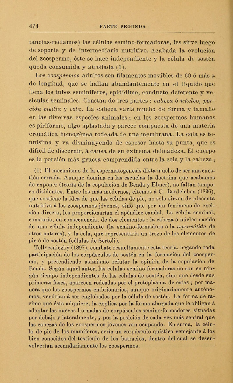 tancias-reclamos) las células semino-formadoras, les sirve luego de soporte y de intermediario nutritivo. Acabada la evolución del zoospermo, éste se hace independiente y la célula de sostén queda consumida y atrofiada (1). Los zoospermos adultos son filamentos movibles de 60 ó más ¡j- de longitud, que se hallan abundantemente en el líquido que llena los tubos seminíferos, epidídimo, conducto deferente y ve- sículas seminales. Constan de tres partes : cabeza ó núcleo, por- ción media y cola. La cabeza varía mucho de forma y tamaño en las diversas especies animales ; en los zoospermos humanos es piriforme, algo aplastada y parece compuesta de una materia cromática homogénea rodeada de una membrana. La cola es te- nuísima y va disminuyendo de espesor hasta su punta, que es difícil de discernir, á causa de su extrema delicadeza. El cuerpo es la porción más gruesa comprendida entre la cola y la cabeza; (1) El mecanismo de la espermatogénesis dista mucho de seruna cues- tión cerrada. Aunque domina en las esencias la doctrina que acabamos de exponer (teoría de la copulación de Benda y Ebner), no faltan tampo- co disidentes. Entre los más modernos, citemos á C. Bardeleben (1896), que sostiene la idea de que las células de pie, no sólo sirven de placenta nutritiva á los zoospermos jóvenes, sino 'que por un fenómeno de exci- sión directa, les proporcionarían el apéndice caudal. La célula seminal, constaría, en consecuencia, de dos elementos : la cabeza ó núcleo nacido de una célula independiente (la semino-formadora ó la espermátida de otros autores), y la cola, que representaría un trozo de los elementos de pie ó de sostén (células de Sertoli). Tellyesniczky (1897), combate resueltamente esta teoría, negando toda participación de los corpúsculos de sostén en la formación del zoosper- mo, y pretendiendo asimismo refutar la opinión de la copulación de Benda. Según aquel autor, las células semino-formadoras no son en nin- gún tiempo independientes de las células de sostén, sino que desde sus primeras fases, aparecen rodeadas por el protoplasma de éstas ; por ma- nera que los zoospermos embrionarios, aunque originariamente autóno- mos, vendrían á ser englobados por la célula de sostén. La forma de ra- cimo que ésta adquiere, la explica por la forma alargada que le obligan á adoptar las nuevas hornadas de corpúsculos semino-formadores situadas por debajo y lateralmente, y por la posición de cada vez más central que las cabezas de los zoospermos jóvenes van ocupando. En suma, la célu- la de pie de los mamíferos, sería un corpúsculo quístico semejante á los bien conocidos del testículo de los batracios, dentro del cual se desen- volverían secundariamente los zoospermos.
