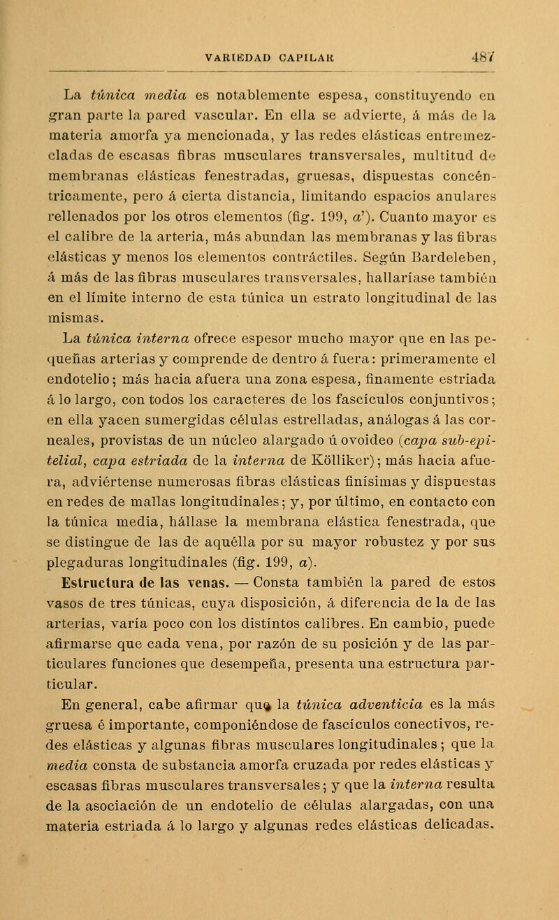 La túnica media es notablemente espesa, constituyendo en gran parte la pared vascular. En ella se advierte, á más de la materia amorfa ya mencionada, y las redes elásticas entremez- cladas de escasas fibras musculares transversales, multitud de membranas elásticas fenestradas, gruesas, dispuestas concén- tricamente, pero á cierta distancia, limitando espacios anulares rellenados por los otros elementos (ñg. 199, a'). Cuanto mayor es el calibre de la arteria, más abundan las membranas y las fibras elásticas y menos los elementos contráctiles. Según Bardeleben, á más de las fibras musculares transversales, hallaríase también en el límite interno de esta túnica un estrato longitudinal de las mismas. La túnica interna ofrece espesor mucho mayor que en las pe- queñas arterias y comprende de dentro á fuera: primeramente el endotelio; más hacia afuera una zona espesa, finamente estriada alo largo, con todos los caracteres de los fascículos conjuntivos; en ella yacen sumergidas células estrelladas, análogas á las cor- neales, provistas de un núcleo alargado ú ovoideo {capa suh-epi- telial, capa estriada de la interna de Kolliker); más hacia afue- ra, adviértense numerosas fibras elásticas finísimas y dispuestas en redes de mallas longitudinales; y, por último, en contacto con la túnica media, hállase la membrana elástica fenestrada, que se distingue de las de aquélla por su mayor robustez y por sus plegaduras longitudinales (fig. 199, a). Estructura de las venas. — Consta también la pared de estos vasos de tres túnicas, cuya disposición, á diferencia de la de las arterias, varía poco con los distintos calibres. En cambio, puede afirmarse que cada vena, por razón de su posición y de las par- ticulares funciones que desempeña, presenta una estructura par- ticular. En general, cabe afirmar qu^ la túnica adventicia es la más gruesa é importante, componiéndose de fascículos conectivos, re- des elásticas y algunas fibras musculares longitudinales ; que la media consta de substancia amorfa cruzada por redes elásticas y escasas fibras musculares transversales; y que la interna resulta de la asociación de un endotelio de células alargadas, con una materia estriada á lo largo y algunas redes elásticas delicadas.