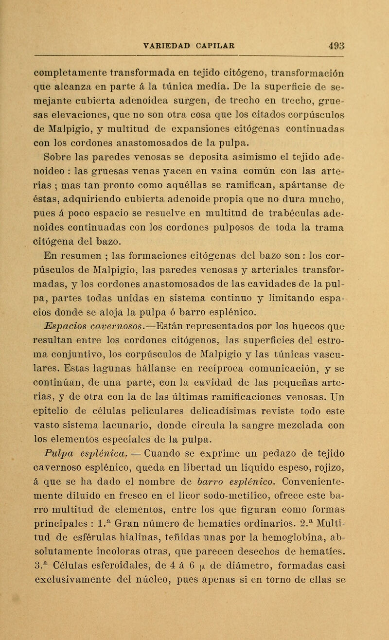 completamente transformada en tejido citógeno, transformación que alcanza en parte á la túnica media. De la superficie de se- mejante cubierta adenoidea surgen, de trecho en trecho, grue- sas elevaciones, que no son otra cosa que los citados corpúsculos de Malpigio, y multitud de expansiones citógenas continuadas con los cordones anastomosados de la pulpa. Sobre las paredes venosas se deposita asimismo el tejido ade- noideo : las gruesas venas yacen en vaina común con las arte- rias ; mas tan pronto como aquéllas se ramifican, apártanse de éstas, adquiriendo cubierta adenoide propia que no dura mucho, pues á poco espacio se resuelve en multitud de trabéculas ade- noides continuadas con los cordones pulposos de toda la trama citógena del bazo. En resumen ; las formaciones citógenas del bazo son: los cor- púsculos de Malpigio, las paredes venosas y arteriales transfor- madas, y los cordones anastomosados de las cavidades de la pul- pa, partes todas unidas en sistema continuo y limitando espa- cios donde se aloja la pulpa ó barro esplénico. Espacios cavernosos.—Están representados por los huecos que resultan entre los cordones citógenos, las superficies del estro- ma conjuntivo, los corpiísculos de Malpigio y las túnicas vascu- lares. Estas lagunas hállanse en recíproca comunicación, y se continúan, de una parte, con la cavidad de las pequeñas arte- rias, y de otra con la de las últimas ramificaciones venosas. Un epitelio de células peliculares delicadísimas reviste todo este vasto sistema lacunario, donde circula la sangre mezclada con los elementos especiales de la pulpa. Pulpa esplénica^. — Cuando se exprime un pedazo de tejido cavernoso esplénico, queda en libertad un líquido espeso, rojizo, á que se ha dado el nombre de barro esplénico. Conveniente- mente diluido en fresco en el licor sodo-metílico, ofrece este ba- rro multitud de elementos, entre los que figuran como formas principales : 1.^ Gran número de hematíes ordinarios. 2.^ Multi- tud de esférulas hialinas, teñidas unas por la hemoglobina, ab- solutamente incoloras otras, que parecen desechos de hematíes. 3.^ Células esferoidales, de 4 á 6 ¡a de diámetro, formadas casi exclusivamente del núcleo, pues apenas si en torno de ellas se