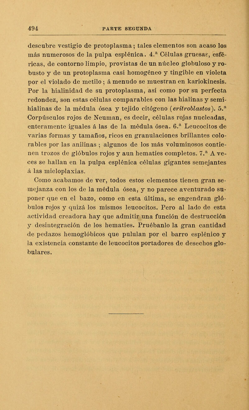 descubre vestigio de protoplasma; tales elementos son acaso los más numerosos de la pulpa esplénica. 4/'^ Células gruesae, esfé- ricas, de contorno limpio, provistas de un núcleo globuloso y ro- busto y de un protoplasma casi homogéneo y tingible en violeta por el violado de metilo ; á menudo se muestran en kariokinesis. Por la hialinidad de su protoplasma, así como por su perfecta redondez, son estas células comparables con las hialinas y semi- hialinas de la médula ósea y tejido citógeno (erüroblastos). 5.^ Corpúsculos rojos de Neuman, es decir, células rojas nucleadas, enteramente iguales á las de la médula ósea. 6.^ Leucocitos de varias formas y tamaños, ricos en granulaciones brillantes colo- rables por las anilinas ; algunos de los más voluminosos contie- nen trozos de glóbulos rojos y aun hematíes completos. 7.^ A ve- ces se hallan en la pulpa esplénica células gigantes semejantes á las mieloplaxias. Como acabamos de ver, todos estos elementos tienen gran se- mejanza con los de la médula ósea, y no parece aventurado su- poner que en el bazo, como en esta última, se engendran gló- bulos rojos y quizá los mismos leucocitos. Pero al lado de esta actividad creadora hay que admitir una función de destrucción y desintegración de los hematíes. Pruébanlo la gran cantidad de pedazos hemoglóbicos que pululan por el barro esplénico y la existencia constante de leucocitos portadores de desechos glo- bulares.