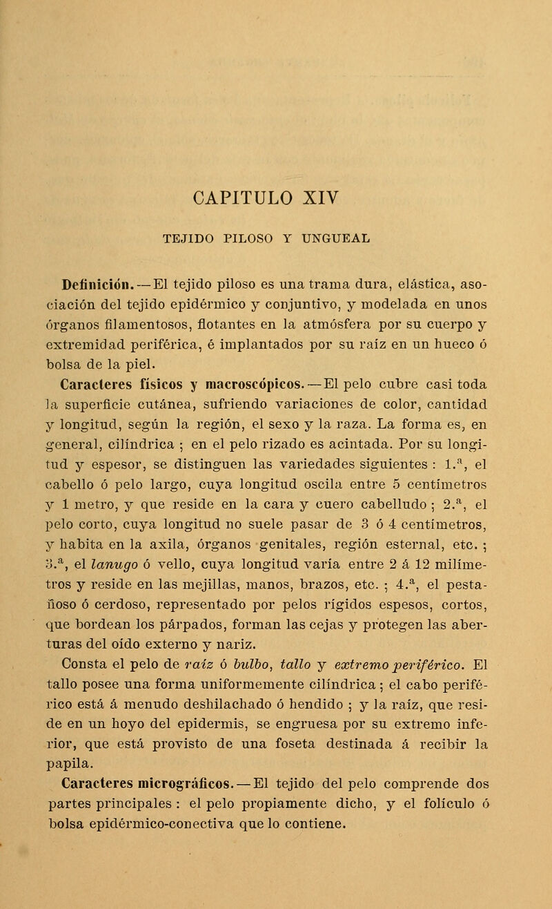 CAPITULO XIV TEJIDO PILOSO Y UNGUEAL Definición. — El tejido piloso es una trama dura, elástica, aso- ciación del tejido epidérmico y conjuntivo, y modelada en unos órganos filamentosos, flotantes en la atmósfera por su cuerpo y extremidad periférica, é implantados por su raiz en un hueco ó bolsa de la piel. Caracteres físicos y macroscópicos.—El pelo cubre casi toda ]a superficie cutánea, sufriendo variaciones de color, cantidad y longitud, según la región, el sexo y la raza. La forma es, en general, cilindrica ; en el pelo rizado es acintada. Por su longi- tud y espesor, se distinguen las variedades siguientes : 1.'^, el cabello ó pelo largo, cuya longitud oscila entre 5 centímetros y 1 metro, y que reside en la cara y cuero cabelludo ; 2.^, el pelo corto, cuya longitud no suele pasar de 3 ó 4 centímetros, y habita en la axila, órganos genitales, región esternal, etc. ; d.^, el lanugo ó vello, cuya longitud varía entre 2 á 12 milíme- tros y reside en las mejillas, manos, brazos, etc. ; 4.*, el pesta- ñoso ó cerdoso, representado por pelos rígidos espesos, cortos, que bordean los párpados, forman las cejas y protegen las aber- turas del oído externo y nariz. Consta el pelo de raíz ó bulbo, tallo y extremo periférico. El tallo posee una forma uniformemente cilindrica ; el cabo perifé- rico está á menudo deshilachado ó hendido ; y la raíz, que resi- de en un hoyo del epidermis, se engruesa por su extremo infe- rior, que está provisto de una foseta destinada á recibir la papila. Caracteres micrográficos. — El tejido del pelo comprende dos partes principales : el pelo propiamente dicho, y el folículo ó bolsa epidérmico-conectiva que lo contiene.