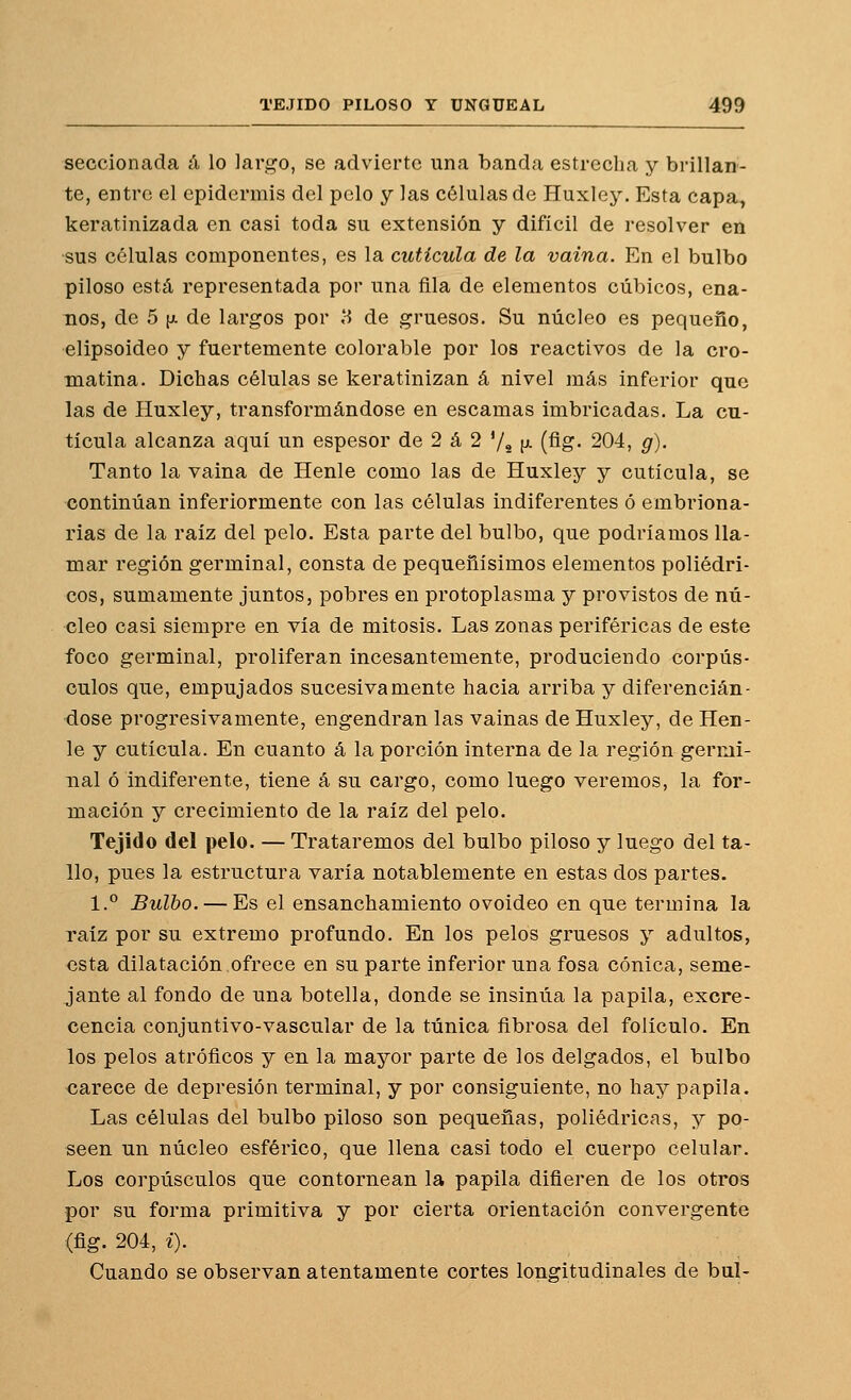 seccionada íi lo largo, se advierte una banda estrecha y brillan- te, entre el epidermis del pelo y las células de Huxley. Esta capa, keratinizada en casi toda su extensión y difícil de resolver en •sus células componentes, es la cutícula de la vaina. En el bulbo piloso está representada por una fila de elementos cúbicos, ena- nos, de 5 [X de largos por 8 de gruesos. Su núcleo es pequeño, elipsoideo y fuertemente colorable por los reactivos de la cro- matina. Dichas células se keratinizan á nivel más inferior que las de Huxley, transformándose en escamas imbricadas. La cu- tícula alcanza aquí un espesor de 2 á 2 '/s (j^ (Ag- 204, g). Tanto la vaina de Henle como las de Huxley y cutícula, se continúan inferiormente con las células indiferentes ó embriona- rias de la raíz del pelo. Esta parte del bulbo, que podríamos lla- mar región germinal, consta de pequeñísimos elementos poliédri- cos, sumamente juntos, pobres en protoplasma y provistos de nú- cleo casi siempre en vía de mitosis. Las zonas periféricas de este foco germinal, proliferan incesantemente, produciendo corpús- culos que, empujados sucesivamente hacía arriba y diferencián- dose progresivamente, engendran las vainas de Huxley, de Hen- le y cutícula. En cuanto á la porción interna de la región germi- nal ó indiferente, tiene á su cargo, como luego veremos, la for- mación y crecimiento de la raíz del pelo. Tejido del pelo. — Trataremos del bulbo piloso y luego del ta- llo, pues la estructura varía notablemente en estas dos partes, 1.° Bulbo. — Es el ensanchamiento ovoideo en que termina la raíz por su extremo profundo. En los pelos gruesos y adultos, esta dilatación ofrece en su parte inferior una fosa cónica, seme- jante al fondo de una botella, donde se insinúa la papila, excre- cencia conjuntivo-vascular de la túnica fibrosa del folículo. En los pelos atróficos y en la mayor parte de los delgados, el bulbo carece de depresión terminal, y por consiguiente, no hay papila. Las células del bulbo piloso son pequeñas, poliédricas, y po- seen un núcleo esférico, que llena casi todo el cuerpo celular. Los corpúsculos que contornean la papila difieren de los otros por su forma primitiva y por cierta orientación convergente (ñg. 204, í). Cuando se observan atentamente cortes longitudinales de bul-