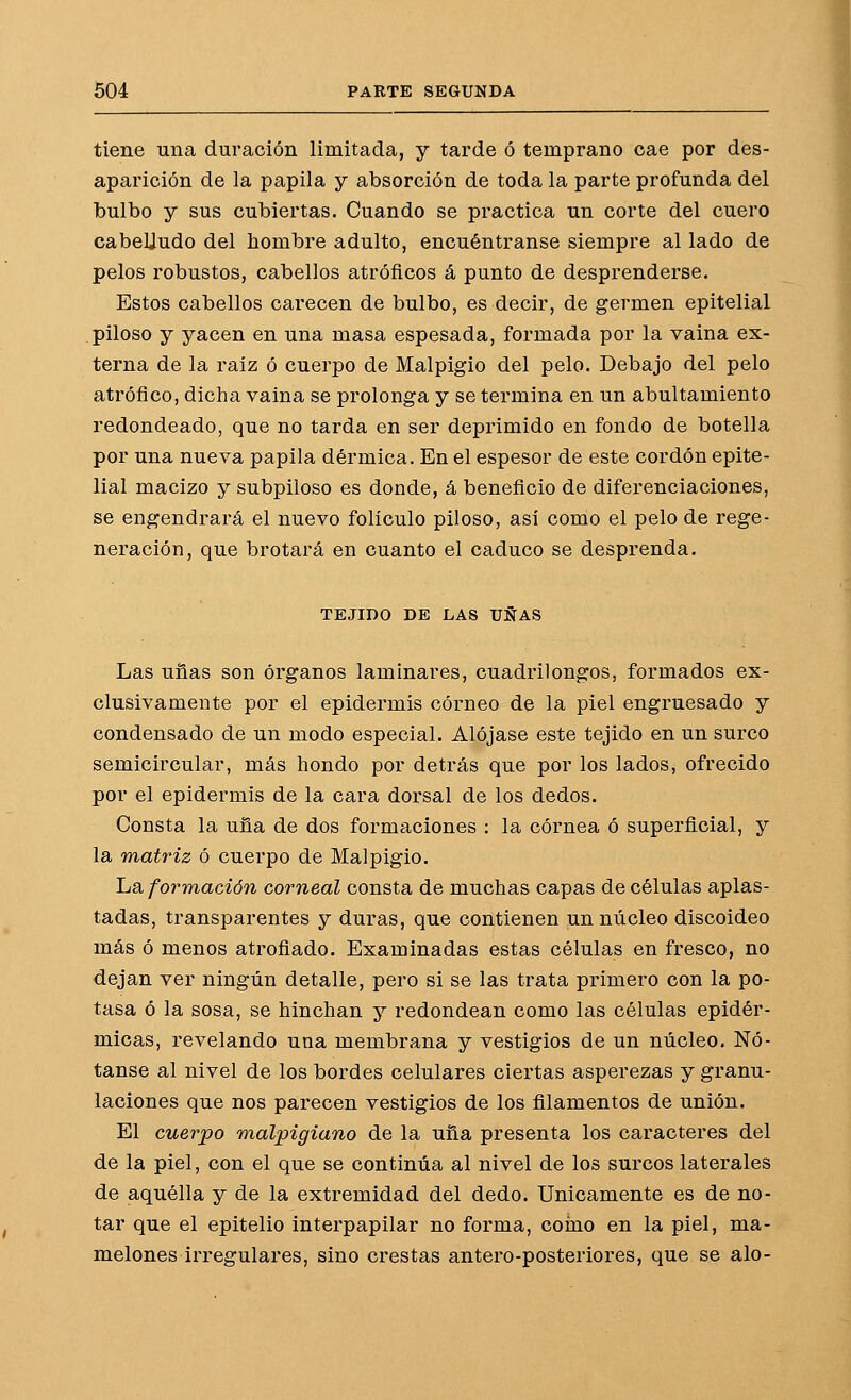 tiene una duración limitada, y tarde ó temprano cae por des- aparición de la papila y absorción de toda la parte profunda del bulbo y sus cubiertas. Cuando se practica un corte del cuero cabeUudo del hombre adulto, encuéntranse siempre al lado de pelos robustos, cabellos atrofíeos á punto de desprenderse. Estos cabellos carecen de bulbo, es decir, de germen epitelial piloso y yacen en una masa espesada, formada por la vaina ex- terna de la raíz ó cuerpo de Malpigio del pelo. Debajo del pelo atrófico, dicha vaina se prolonga y se termina en un abultamiento redondeado, que no tarda en ser deprimido en fondo de botella por una nueva papila dérmica. En el espesor de este cordón epite- lial macizo y subpiloso es donde, á beneficio de diferenciaciones, se engendrará el nuevo folículo piloso, así como el pelo de rege- neración, que brotará en cuanto el caduco se desprenda. TEJIDO DE LAS UÑAS Las uñas son órganos laminares, cuadrilongos, formados ex- clusivamente por el epidermis córneo de la piel engruesado y condensado de un modo especial. Alójase este tejido en un surco semicircular, más hondo por detrás que por los lados, ofrecido por el epidermis de la cara dorsal de los dedos. Consta la uña de dos formaciones : la córnea ó superficial, y la matriz ó cuerpo de Malpigio. Ijñ, formación corneal consta de muchas capas de células aplas- tadas, transparentes y duras, que contienen un núcleo discoideo más ó menos atrofiado. Examinadas estas células en fresco, no dejan ver ningún detalle, pero si se las trata primero con la po- tasa ó la sosa, se hinchan y redondean como las células epidér- micas, revelando una membrana y vestigios de un núcleo. Nó- tanse al nivel de los bordes celulares ciertas asperezas y granu- laciones que nos parecen vestigios de los filamentos de unión. El cuerpo rnalpigiano de la uña presenta los caracteres del de la piel, con el que se continúa al nivel de los surcos laterales de aquélla y de la extremidad del dedo. Únicamente es de no- tar que el epitelio interpapilar no forma, coino en la piel, ma- melones irregulares, sino crestas antero-posteriores, que se alo-