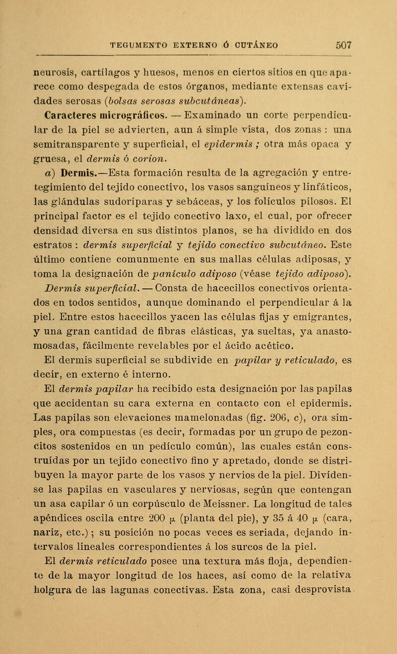 neurosis, cartílagos y huesos, menos en ciertos sitios en que apa- rece como despegada de estos órganos, mediante extensas cavi- dades serosas {bolsas serosas subcutáneas). Caracteres inicrográficos. — Examinado un corte perpendicu- lar de la piel se advierten, aun íi simple vista, dos zonas : una semitransparente y superficial, el epidermis ; otra más opaca y gruesa, el dermis ó corion. a) Dermis.—Esta formación resulta de la agregación y entre- tegimiento del tejido conectivo, los vasos sanguíneos y linfáticos, las glándulas sudoríparas y sebáceas, y los folículos pilosos. El principal factor es el tejido conectivo laxo, el cual, por ofrecer densidad diversa en sus distintos planos, se ha dividido en dos estratos : derm,is superficial y tejido conectivo subcutáneo. Este último contiene comunmente en sus mallas células adiposas, y toma la designación de panículo adiposo (véase tejido adiposo). Dermis superficial. — Consta de hacecillos conectivos orienta- dos en todos sentidos, aunque dominando el perpendicular á la piel. Entre estos hacecillos yacen las células fijas y emigrantes, y una gran cantidad de fibras elásticas, ya sueltas, ya anasto- mosadas, fácilmente revelables por el ácido acético. El dermis superficial se subdivide en papilar y reticulado, es decir, en externo é interno. El dermis papilar ha recibido esta designación por las papilas que accidentan su cara externa en contacto con el epidermis. Las papilas son elevaciones mamelonadas (flg. 206, c), ora sim- ples, ora compuestas (es decir, formadas por un grupo de pezon- citos sostenidos en un pedículo común), las cuales están cons- truidas por un tejido conectivo fino y apretado, donde se distri- buyen la mayor parte de los vasos y nervios de la piel. Divíden- se las papilas en vasculares y nerviosas, según que contengan un asa capilar ó un corpúsculo de Meissner. La longitud de tales apéndices oscila entre 200 ¡j. (planta del pie), y 35 á 40 ¡ji (cara, nariz, etc.); su posición no pocas veces es seriada, dejando in- tervalos lineales correspondientes á los surcos de la piel. El dermis reticulado posee una textura más floja, dependien- te de la mayor longitud de los haces, así como de la relativa holgura de las lagunas conectivas. Esta zona, casi desprovista