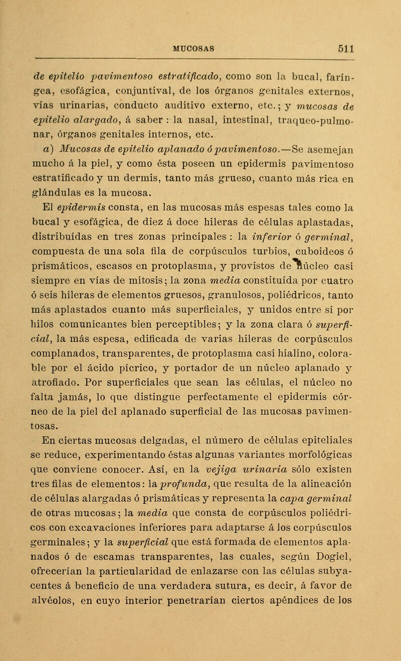 de epitelio pavimentoso estratificado, como son la bucal, farín- gea, esofágica, conjuntiva!, de los órganos genitales externos, vías urinarias, conducto auditivo externo, etc.; y mucosas de epitelio alargado, á saber : la nasal, intestinal, tráqueo-pulmo- nar, órganos genitales internos, etc. a) Mucosas de epitelio aplanado ó pavimentoso.—Se asemejan mucho á la piel, y como ésta poseen un epidermis pavimentoso estratificado y un dermis, tanto más grueso, cuanto más rica en glándulas es la mucosa. El epiderTYiis consta, en las mucosas más espesas tales como la bucal y esofágica, de diez á doce hileras de células aplastadas, distribuidas en tres zonas principales : la inferior ó germinal, compuesta de una sola fila de corpúsculos turbios, cuboideos ó prismáticos, escasos en protoplasma, y provistos de núcleo casi siempre en vías de mitosis; la zona media constituida por cuatro ó seis hileras de elementos gruesos, granulosos, poliédricos, tanto más aplastados cuanto más superficiales, y unidos entre sí por hilos comunicantes bien perceptibles; y la zona clara ó superfi- cial, la más espesa, edificada de varias hileras de corpúsculos complanados, transparentes, de protoplasma casi hialino, colora- ble por el ácido pícrico, y portador de un núcleo aplanado y atrofiado. Por superficiales que sean las células, el núcleo no falta jamás, lo que distingue perfectamente el epidermis cór- neo de la piel del aplanado superficial de las mucosas pavimen- tosas. En ciertas mucosas delgadas, el número de células epiteliales se reduce, experimentando éstas algunas variantes morfológicas que conviene conocer. Así, en la vejiga urinaria sólo existen tres filas de elementos: la profunda, que resulta de la alineación de células alargadas ó prismáticas y representa la capa germinal de otras mucosas; la media que consta de corpúsculos poliédri- cos con excavaciones inferiores para adaptarse á los corpúsculos germinales; y la superficial que está formada de elementos apla- nados ó de escamas transparentes, las cuales, según Dogiel, ofrecerían la particularidad de enlazarse con las células subya- centes á beneficio de una verdadera sutura, es decir, á favor de alvéolos, en cuyo interior penetrarían ciertos apéndices de los
