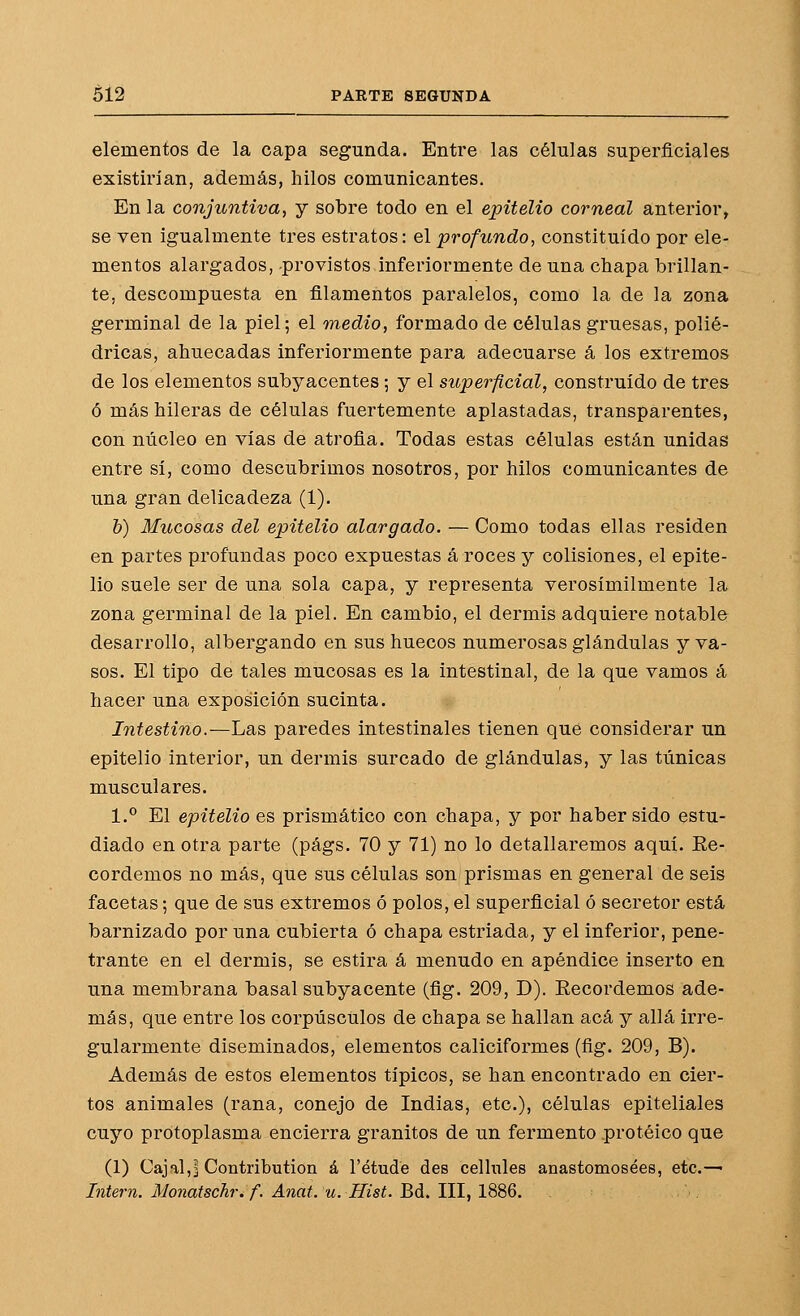 elementos de la capa segunda. Entre las células superficiales existirían, además, hilos comunicantes. En la conjuntiva, y sobre todo en el epitelio corneal anterior, se ven igualmente tres estratos: el profundo, constituido por ele- mentos alargados, provistos inferiormente de una chapa brillan- te, descompuesta en filamentos paralelos, como la de la zona germinal de la piel; el medio, formado de células gruesas, polié- dricas, ahuecadas inferiormente para adecuarse á los extremos de los elementos subyacentes ; y el superficial, construido de tres ó más hileras de células fuertemente aplastadas, transparentes, con núcleo en vias de atrofia. Todas estas células están unidas entre sí, como descubrimos nosotros, por hilos comunicantes de una gran delicadeza (1). &) Mucosas del epitelio alargado. — Como todas ellas residen en partes profundas poco expuestas á roces y colisiones, el epite- lio suele ser de una sola capa, y representa verosímilmente la zona germinal de la piel. En cambio, el dermis adquiere notable desarrollo, albergando en sus huecos numerosas glándulas y va- sos. El tipo de tales mucosas es la intestinal, de la que vamos á hacer una exposición sucinta. Intestino.—Las paredes intestinales tienen que considerar un epitelio interior, un dermis surcado de glándulas, y las túnicas musculares. 1.® El epitelio es prismático con chapa, y por haber sido estu- diado en otra parte (págs. 70 y 71) no lo detallaremos aquí. Ee- cordemos no más, que sus células son prismas en general de seis facetas; que de sus extremos ó polos, el superficial ó secretor está barnizado por una cubierta ó chapa estriada, y el inferior, pene- trante en el dermis, se estira á menudo en apéndice inserto en una membrana basal subyacente (fig. 209, D). Eecordemos ade- más, que entre los corpúsculos de chapa se hallan acá y allá irre- gularmente diseminados, elementos caliciformes (fig. 209, B). Además de estos elementos típicos, se han encontrado en cier- tos animales (rana, conejo de Indias, etc.), células epiteliales cuyo protoplasma encierra granitos de un fermento proteico que (1) Cajal,! Contribution á l'étude des cellules anastomosées, etc.— Intern. Monatschr. f. Anat. u. Hist. Bd. III, 1886.