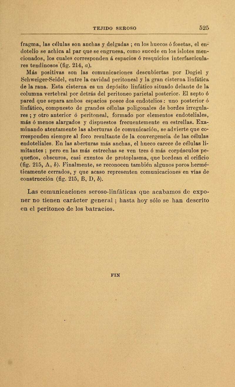 fragma, las células son anchas y delgadas ; en los huecos ó fosetas, el en- dotelio se achica al par que se engmesa, como sucede en los islotes men- cionados, los cuales corresponden á espacios ó resquicios interfascicula- res tendinosos (fig. 214, a). Más positivas son las comunicaciones descubiertas por Dogiel y Schweiger-Seidel, entre la cavidad peritoneal y la gran cisterna linfática de la rana. Esta cisterna es un depósito linfático situado delante de la columna vertebral por detrás del peritoneo parietal posterior. El septo ó pared que separa ambos espacios posee dos endotelios : uno posterior ó linfático, compuesto de grandes células poligonales de bordes irregula- res ; y otro anterior ó peritoneal, formado por elementos endoteliales, más ó menos alargados y dispuestos frecuentemente en estrellas. Exa- minando atentamente las aberturas de comtmicación, se advierte que co- rresponden siempre al foco resultante de la convergencia de las células endoteliales. En las aberturas más anchas, el hueco carece de células li- mitantes ; pero en las más estrechas se ven tres ó más corpúsculos pe- queños, obscuros, casi exentos de protoplasma, que bordean el orificio (fig. 215, A, b). Finalmente, se reconocen también algunos poros hermé- ticamente cerrados, y que acaso representen comunicaciones en vías de construcción (fig. 215, B, D, b). Las comunicaciones seroso-linfáticas que acabamos de expo- ner no tienen carácter general ; hasta hoy sólo se han descrito en el peritoneo de los batracios. FIN