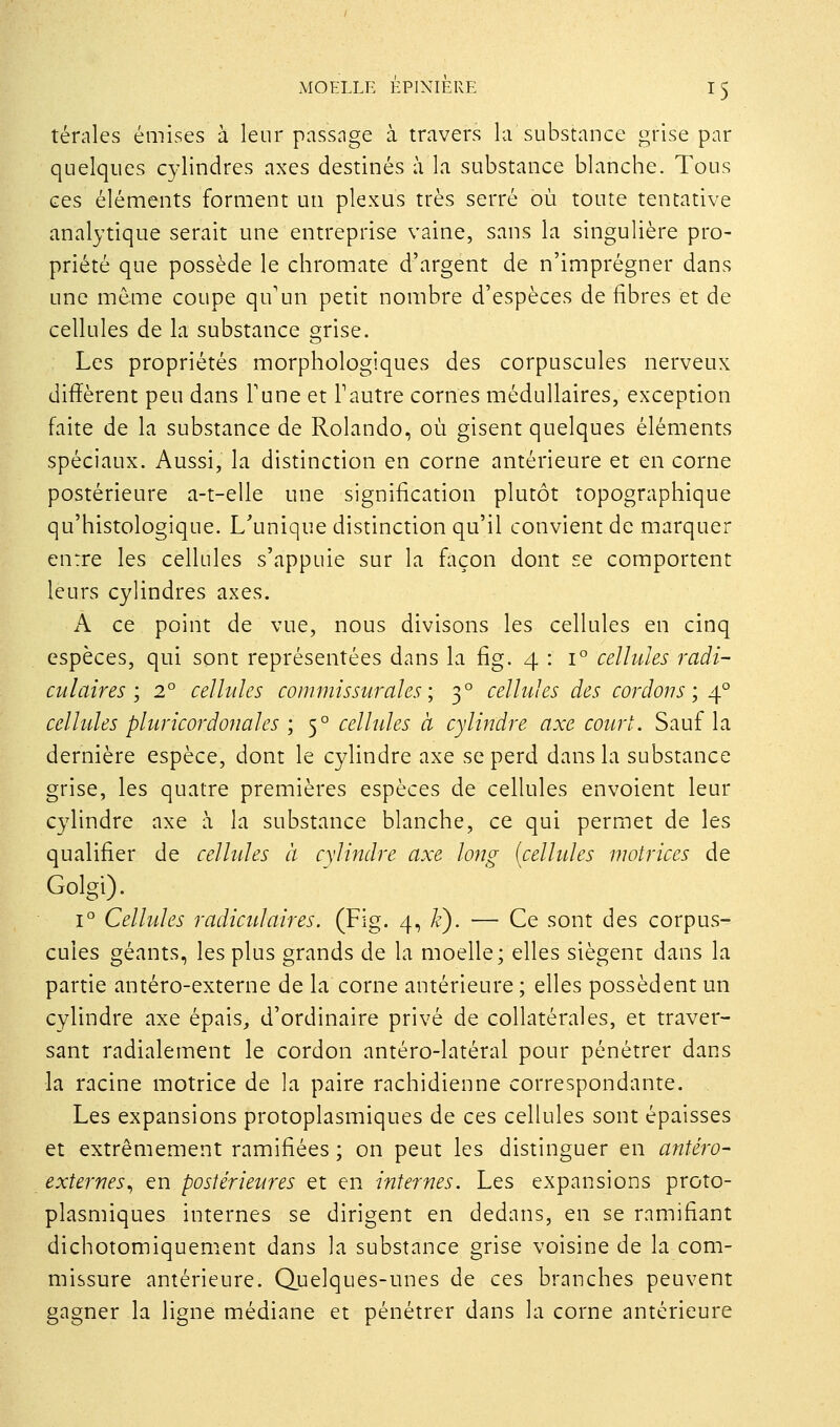 téniles émises à leur passnge à travers la substance grise par quelques cylindres axes destinés à la substance blanche. Tous ces éléments forment un plexus très serré où toute tentative analytique serait une entreprise vaine, sans la singulière pro- priété que possède le chromate d'argent de n'imprégner dans une même coupe qu'un petit nombre d'espèces de fibres et de cellules de la substance grise. Les propriétés morphologiques des corpuscules nerveux diffèrent peu dans Tune et Tautre cornes médullaires, exception faite de la substance de Rolando, où gisent quelques éléments spéciaux. Aussi, la distinction en corne antérieure et en corne postérieure a-t-elle une signification plutôt topographique qu'histologique. L'unique distinction qu'il convient de marquer entre les cellules s'appuie sur la façon dont se comportent leurs cylindres axes. A ce point de vue, nous divisons les cellules en cinq espèces, qui sont représentées dans la fig. 4 : 1° cellules radi- cul aires', 2° cellules coinuiissurales ; 3° cellules des cordons; 4° cellules pluricordonaks \ 5° cellules à cylindre axe court. Sauf la dernière espèce, dont le cylindre axe se perd dans la substance grise, les quatre premières espèces de cellules envoient leur cylindre axe à la substance blanche, ce qui permet de les qualifier de cellules à cylindre axe long [cellules motrices de Golgi). 1° Cellules radiculaires. (Fig. 4, k). — Ce sont des corpus- cules géants, les plus grands de la moelle; elles siègent dans la partie antéro-externe de la corne antérieure ; elles possèdent un cylindre axe épais, d'ordinaire privé de collatérales, et traver- sant radialement le cordon antéro-latéral pour pénétrer dans la racine motrice de la paire rachidienne correspondante. Les expansions protoplasmiques de ces cellules sont épaisses et extrêmement ramifiées ; on peut les distinguer en antéro- externes^ en postérieures et en ifîternes. Les expansions proto- plasmiques internes se dirigent en dedans, en se ramifiant dichotomiquement dans la substance grise voisine de la com- missure antérieure. Quelques-unes de ces branches peuvent gagner la ligne médiane et pénétrer dans la corne antérieure