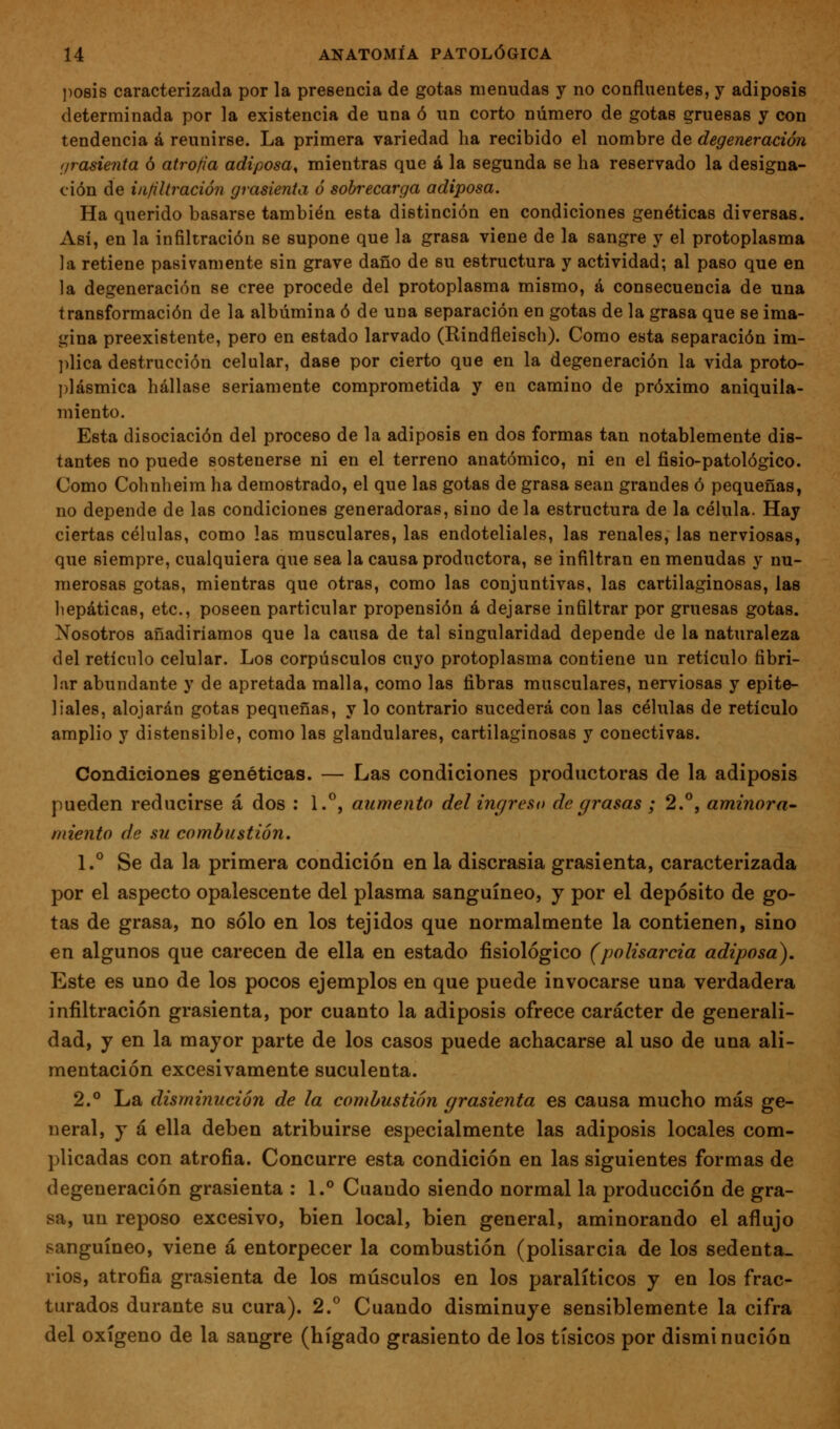 j)08Ís caracterizada por la presencia de gotas menudas y no confluentes, y adiposis determinada por la existencia de una ó un corto número de gotas gruesas y con tendencia á reunirse. La primera variedad ha recibido el nombre de degeneración (jrasienta ó atrofia adiposa^ mientras que á la segunda se ha reservado la designa- ción de infiltración grasienta ó sobrecarga adiposa. Ha querido basarse también esta distinción en condiciones genéticas diversas. Así, en la infiltración se supone que la grasa viene de la sangre y el protoplasma la retiene pasivamente sin grave daño de su estructura y actividad; al paso que en la degeneración se cree procede del protoplasma mismo, á consecuencia de una transformación de la albúmina ó de una separación en gotas de la grasa que se ima- gina preexistente, pero en estado larvado (Rindfleisch). Como esta separación im- ))lica destrucción celular, dase por cierto que en la degeneración la vida proto- l)lásmica hállase seriamente comprometida y en camino de próximo aniquila- miento. Esta disociación del proceso de la adiposis en dos formas tan notablemente dis- tantes no puede sostenerse ni en el terreno anatómico, ni en el fisio-patológico. Como Cohnheim ha demostrado, el que las gotas de grasa sean grandes ó pequeñas, no depende de las condiciones generadoras, sino déla estructura de la célula. Hay ciertas células, como las musculares, las endoteliales, las renales, las nerviosas, que siempre, cualquiera que sea la causa productora, se infiltran en menudas y nu- merosas gotas, mientras que otras, como las conjuntivas, las cartilaginosas, las hepáticas, etc., poseen particular propensión á dejarse infiltrar por gruesas gotas. Nosotros añadiríamos que la causa de tal singularidad depende de la naturaleza del retículo celular. Los corpúsculos cuyo protoplasma contiene un retículo fibri- lar abundante y de apretada malla, como las fibras musculares, nerviosas y epite- liales, alojarán gotas pequeñas, y lo contrario sucederá con las células de retículo amplio y distensible, como las glandulares, cartilaginosas y conectivas. Condiciones genéticas. — Las condiciones productoras de la adiposis pueden reducirse á dos : 1.°, aumento delingreso de grasas ; 2.^, aminora- miento de su combustión. L° Se da la primera condición en la discrasia grasienta, caracterizada por el aspecto opalescente del plasma sanguíneo, y por el depósito de go- tas de grasa, no sólo en los tejidos que normalmente la contienen, sino en algunos que carecen de ella en estado fisiológico (polisarcia adiposa). Este es uno de los pocos ejemplos en que puede invocarse una verdadera infiltración grasienta, por cuanto la adiposis ofrece carácter de generali- dad, y en la mayor parte de los casos puede achacarse al uso de una ali- mentación excesivamente suculenta. 2.° La disminución de la combustión grasienta es causa mucho más ge- neral, y á ella deben atribuirse especialmente las adiposis locales com- plicadas con atrofia. Concurre esta condición en las siguientes formas de degeneración grasienta : 1.° Cuando siendo normal la producción de gra- sa, un reposo excesivo, bien local, bien general, aminorando el aflujo sanguíneo, viene á entorpecer la combustión (polisarcia de los sedenta- rios, atrofia grasienta de los músculos en los paralíticos y en los frac- turados durante su cura). 2. Cuando disminuye sensiblemente la cifra del oxígeno de la sangre (hígado grasicnto de los tísicos por disminución