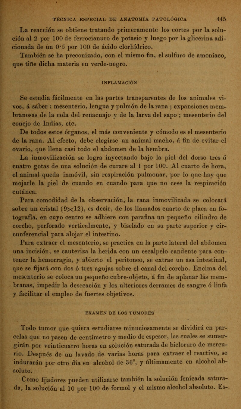 La reacción se obtiene tratando primeramente los cortes por la solu- ción al 2 por 100 de ferrocianuro de potasio y luego por la glicerina adi- cionada de un 0'5 por 100 de ácido clorhídrico. También se ha preconizado, con el mismo fin, el sulfuro de amoníaco, que tiñe dicha materia en verde-negro. INFLAMACIÓN Se estudia fácilmente en las partes transparentes de los animales vi- vos, á saber : mesenterio, lengua y pulmón de la rana ; expansiones mem- branosas de la cola del renacuajo y de la larva del sapo ; mesenterio del conejo de Indias, etc. De todos estos órganos, el más conveniente y cómodo es el mesenterio de la rana. Al efecto, debe elegirse un animal macho, á fin de evitar el ovario, que llena casi todo el abdomen de la hembra. La inmovilización se logra inyectando bajo la piel del dorso tres ó cuatro gotas de una solución de curare al 1 por 100. Al cuarto de hora, el animal queda inmóvil, sin respiración pulmonar, por lo que hay que mojarle la piel de cuando en cuando para que no cese la respiración cutánea. Para comodidad de la observación, la rana inmovilizada se colocará sobre un cristal (9x12), es decir, de los llamados cuarto de placa en fo- tografía, en cuyo centro se adhiere con parafina un pequeño cilindro de corcho, perforado vertical mente, y biselado en su parte superior y cir- cunferencial para alojar el intestino. Para extraer el mesenterio, se practica en la parte lateral del abdomen una incisión, se cauteriza la herida con un escalpelo candente para con- tener la hemorragia, y abierto el peritoneo, se extrae un asa intestinal, que se fijará con dos ó tres agujas sobre el canal del corcho. Encima del mesenterio se coloca un pequeño cubre-objeto, á fin de aplanar las mem- branas, impedir la desecación y los ulteriores derrames de sangre ó linfa y facilitar el empleo de fuertes objetivos. EXAMEN DE LOS TUMORES Todo tumor que quiera estudiarse minuciosamente se dividirá en par- celas que no pasen de centímetro y medio de espesor, las cuales se sumer- girán por veinticuatro horas en solución saturada de bicloruro de mercu- rio. Después de un lavado de varias horas para extraer el reactivo, se indurarán por otro día en alcohol de 36°, y últimamente en alcohol ab- soluto. Como fijadores pueden utilizarse también la solución fenicada satura- da, la solución al 10 por 100 de formol y el mismo alcohol absoluto. Es-