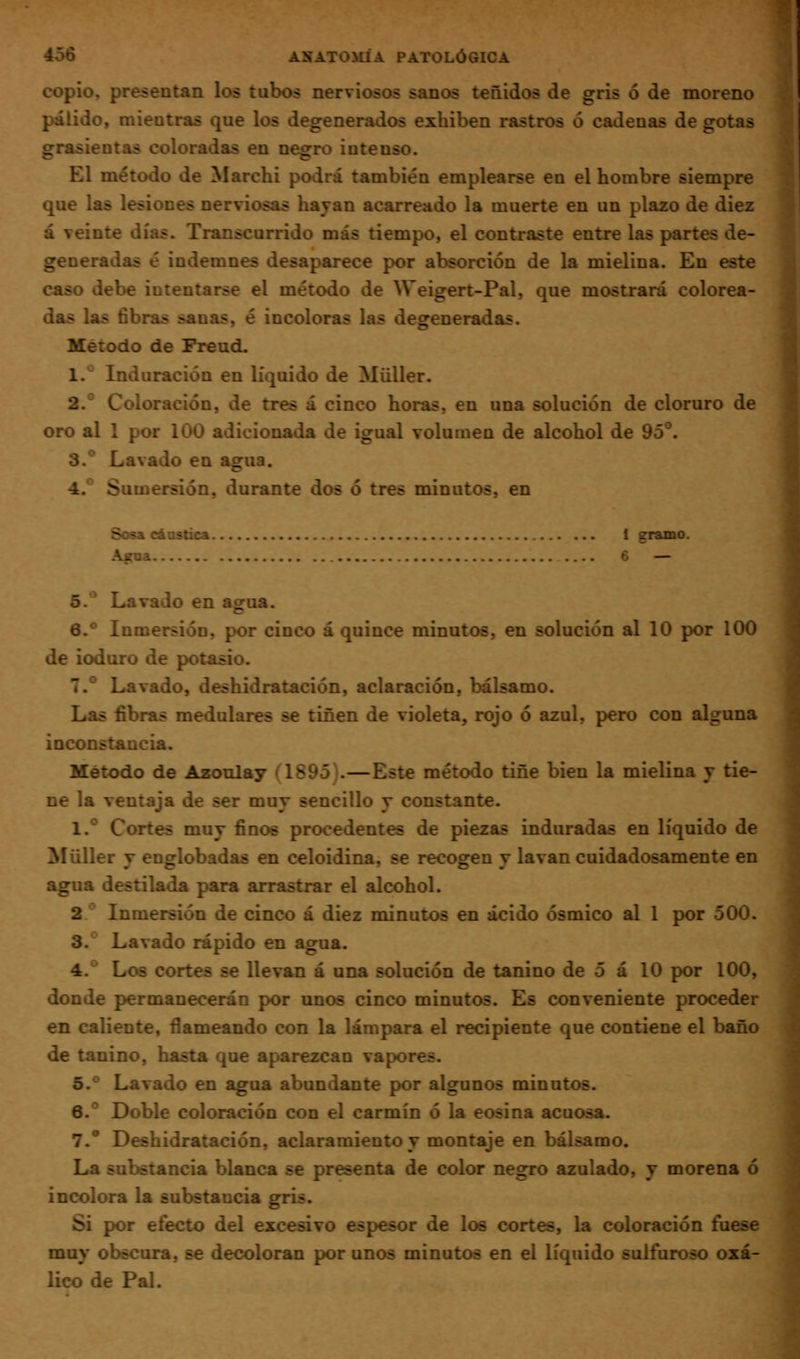 copio, presentan los tubos nerviosos sanos teñidos de gris ó de moreno pálido, mientras que los degenerados exhiben rastros ó cadenas de gotas grasicntas coloradas en negro intenso. El método de Marchi podrá también emplearse en el hombre siempre que las lesiones nerviosas hayan acarreado la muerte en un plazo de diez á veinte días. Transcurrido más tiempo, el contraste entre las partes de- generadas é indemnes desaparece por absorción de la mielina. En este caso debe intentarse el método de Weigert-Pal, que mostrará colorea- das las fibras sanas, é incoloras las desreneradas. Método de Freud. 1.** Induración en líquido de Müller. 2.° Coloración, de tres á cinco horas, en una solución de cloruro de oro al 1 por 100 adicionada de igual volumen de alcohol de 95**. 3.^ Lavado en agua. 4.° Sumersión, durante dos ó tres minutos, en Sosa cáustica 1 gramo. Agua 6 — 5.^ Lavado en ao^ua. e.** Inmersión, por cinco á quince minutos, en solución al 10 por 100 de ioduro de potasio. 7.** Lavado, deshidra ración, aclaración, bálsamo. Las fibras medulares se tiñen de violeta, rojo ó azul, pero con alguna inconstancia. Método de Azonlay C1895).—Este método tiñe bien la mielina y tie- ne la ventaja de ser muy sencillo y constante. 1.® Cortes muy finoe procedentes de piezas induradas en líquido de Müller V englobadas en celoidina, se recogren v lavan cuidadosamente en agua destilada para arrastrar el alcohol. 2.** Inmersión de cinco á diez minutos en ácido ósmico al 1 por 500. 3.** Lavado rápido en agua. 4.° Los cortes se llevan á una solución de tanino de 5 á 10 por 100, donde permanecerán por unos cinco minutos. Es conveniente proceder en caliente, flameando con la lámpara el recipiente que contiene el baño de tanino, hasta que aparezcan vapores. 5.^ Lavado en agua abundante por algunos minutos. 6.^ Doble coloración con el carmín ó la eosina acuosa. 7.* Deshidratación, aclaramiento y montaje en bálsamo. La substancia blanca se presenta de color negro azulado, y morena ó incolora la substancia gris. Si por efecto del excesivo espesor de los cortes, la coloración fuese muy obscura, se decoloran por unos minutos en el líquido sulfuroso oxá- lico de Pal.