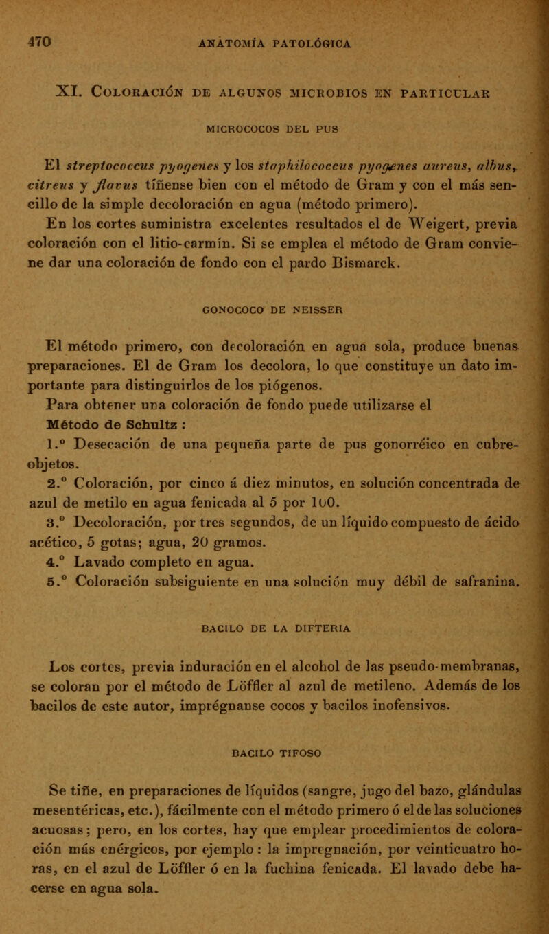 XI. Coloración de algunos microbios en particular MICROCOCOS DEL PUS El streptococcus pyogenes y los staphilococcus pyog^nes aureus, albuSy citrens j fiavus tíñense bien con el método de Gram y con el más sen- cillo de la simple decoloración en agua (método primero). En los cortes suministra excelentes resultados el de Weigert, previa coloración con el litio-carmín. Si se emplea el método de Gram convie- ne dar una coloración de fondo con el pardo Bismarck. GONOCOCO DE NEISSER El método primero, con decoloración en agua sola, produce buenas preparaciones. El de Gram los decolora, lo que constituye un dato im- portante para distinguirlos de los piógenos. Para obtener una coloración de fondo puede utilizarse el Método de Schultz : 1.** Desecación de una pequeña parte de pus gonorréico en cubre- objetos. 2.** Coloración, por cinco á diez minutos, en solución concentrada de azul de metilo en agua fenicada al 5 por luO. 3.** Decoloración, por tres segundos, de un líquido compuesto de ácido acético, 5 gotas; agua, 20 gramos. 4.° Lavado completo en agua. 6.** Coloración subsiguiente en una solución muy débil de safranina. BACILO DE la DIFTERIA Los cortes, previa induración en el alcohol de las pseudo-membranas, se coloran por el método de Loffler al azul de metileno. Además de los bacilos de este autor, imprégnanse cocos y bacilos inofensivos. BACILO TIFOSO Se tiñe, en preparaciones de líquidos (sangre, jugo del bazo, glándulas mesentéricas, etc.), fácilmente con el método primereó el de las soluciones acuosas; pero, en los cortes, hay que emplear procedimientos de colora- ción más enérgicos, por ejemplo : la impregnación, por veinticuatro ho- ras, en el azul de Loffler ó en la fuchina fenicada. El lavado debe ha- cerse en agua sola.