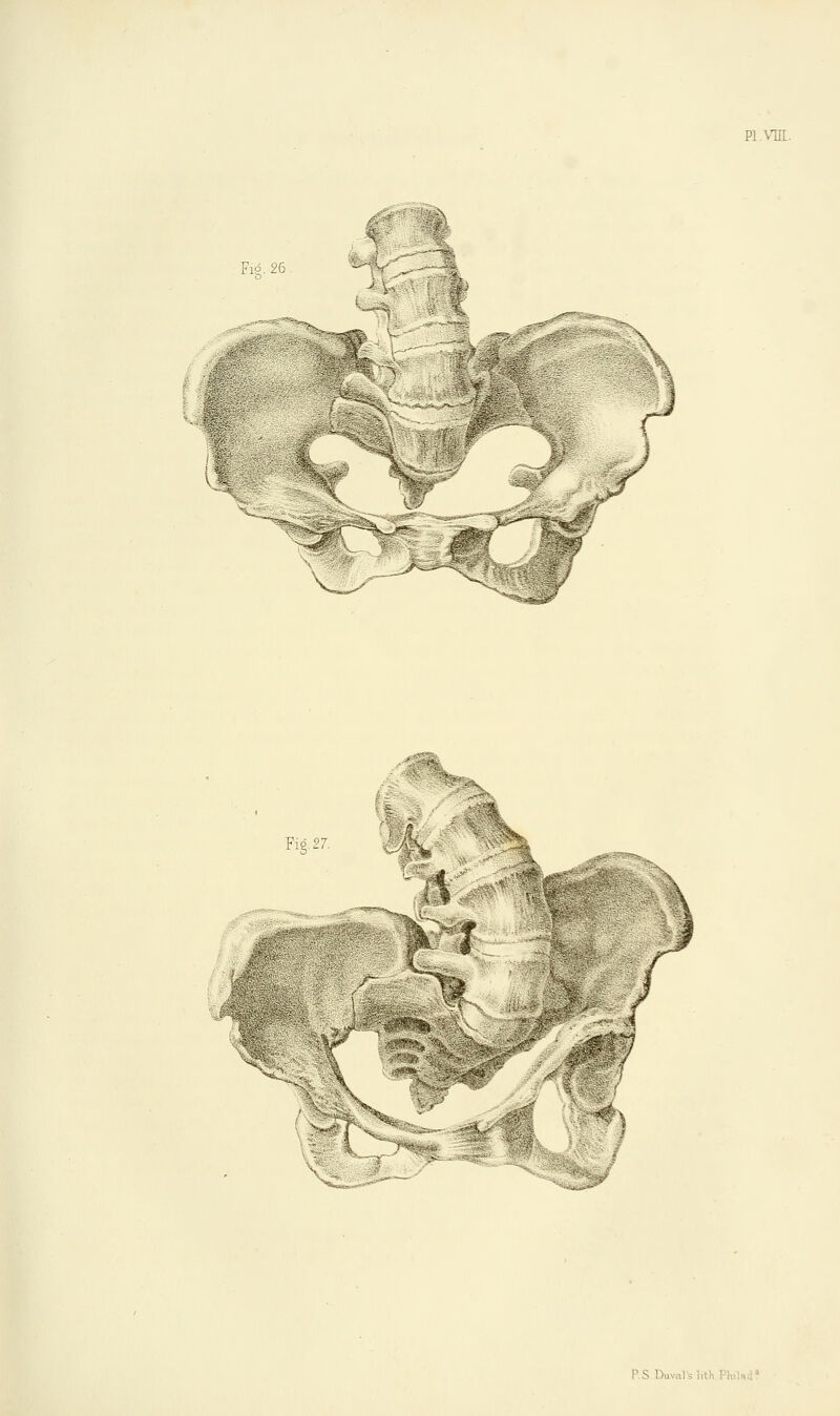 PI VIII. Fig. 26 Fig. 27. f w X