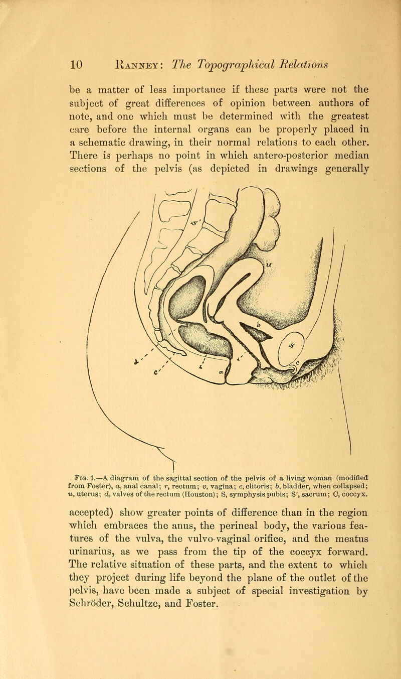 be a matter of less importance if these parts were not the subject of great differences of opinion between authors of note, and one which must be determined with the greatest care before the internal organs can be properly placed in a schematic drawing, in their normal relations to each other. There is perhaps no point in which antero-posterior median sections of the pelvis (as depicted in drawings generally , Fig. 1.—A diagram of the sagittal section of the pelvis of a living woman (modified from Foster), a, anal canal; r, rectum; v, vagina; c, clitoris; b, bladder, when collapsed; u, uterus; d, valves of the rectum (Houston); S, symphysis pubis; S', sacrum; C, coccyx. accepted) show greater points of difference than in the region which embraces the anus, the perineal body, the various fea- tures of the vulva, the vulvo-vaginal orifice, and the meatus urinarius, as we pass from the tip of the coccyx forward. The relative situation of these parts, and the extent to which they project during life beyond the plane of the outlet of the pelvis, have been made a subject of special investigation by Schroder, Schultze, and Foster.