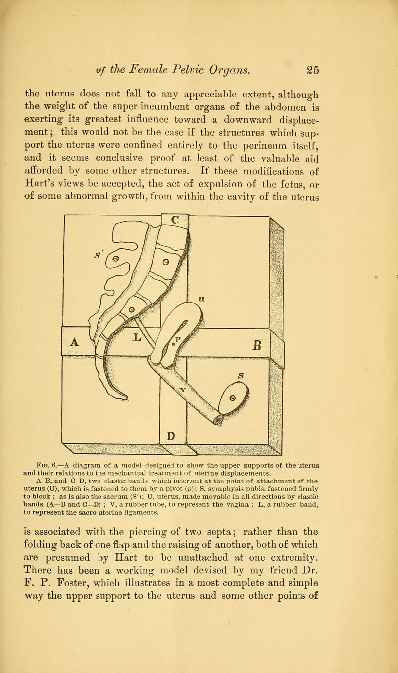 the uterus does not fall to any appreciable extent, although the weight of the super-incumbent organs of the abdomen is exerting its greatest influence toward a downward displace- ment ; this would not be the case if the structures which sup- port the uterus were confined entirely to the perineum itself, and it seems conclusive proof at least of the valuable aid afforded by some other structures. If these modifications of Hart's views be accepted, the act of expulsion of the fetus, or of some abnormal growth, from within the cavity of the uterus Fig. 6.—A diagram of a model designed to show the upper supports of the uterus and their relations to the mechanical treatment of uterine displacements. A B, and C D, two elastic bands which intersect at the point of attachment of the uterus (U), which is fastened to them by a pivot (p); S, symphysis pubis, fastened firmly to block ; as is also the sacrum (S'); U, uterus, made movable in all directions by elastic bands (A—B and C—D) ; V, a rubber tube, to represent the vagina ; L, a rubber band, to represent the sacro-uterine ligaments. is associated with the piercing of two septa; rather than the folding back of one flap and the raising of another, both of which are presumed by Hart to be unattached at one extremity. There has been a working model devised by my friend Dr. F. P. Foster, which illustrates in a most complete and simple way the upper support to the uterus and some other points of