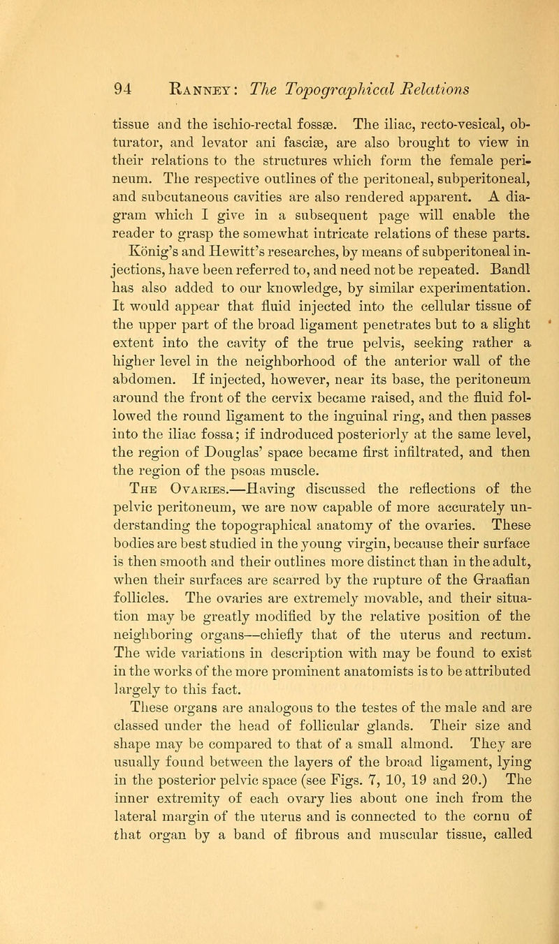 tissue and the ischiorectal fossae. The iliac, rectovesical, ob- turator, and levator ani fasciae, are also brought to view in their relations to the structures which form the female peri- neum. The respective outlines of the peritoneal, subperitoneal, and subcutaneous cavities are also rendered apparent. A dia- gram which I give in a subsequent page will enable the reader to grasp the somewhat intricate relations of these parts. Konig's and Hewitt's researches, by means of subperitoneal in- jections, have been referred to, and need not be repeated. Bandl has also added to our knowledge, by similar experimentation. It would appear that fluid injected into the cellular tissue of the upper part of the broad ligament penetrates but to a slight extent into the cavity of the true pelvis, seeking rather a, higher level in the neighborhood of the anterior wall of the abdomen. If injected, however, near its base, the peritoneum around the front of the cervix became raised, and the fluid fol- lowed the round ligament to the inguinal ring, and then passes into the iliac fossa; if indroduced posteriorly at the same level, the region of Douglas' space became first infiltrated, and then the region of the psoas muscle. The Ovaries.—Having discussed the reflections of the pelvic peritoneum, we are now capable of more accurately un- derstanding the topographical anatomy of the ovaries. These bodies are best studied in the young virgin, because their surface is then smooth and their outlines more distinct than in the adult> when their surfaces are scarred by the rupture of the Graafian follicles. The ovaries are extremely movable, and their situa- tion may be greatly modified by the relative position of the neighboring organs—chiefly that of the uterus and rectum. The wide variations in description with may be found to exist in the works of the more prominent anatomists is to be attributed largely to this fact. These organs are analogous to the testes of the male and are classed under the head of follicular glands. Their size and shape may be compared to that of a small almond. They are usually found between the layers of the broad ligament, lying in the posterior pelvic space (see Figs. 7, 10, 19 and 20.) The inner extremity of each ovary lies about one inch from the lateral margin of the uterus and is connected to the cornu of that organ by a band of fibrous and muscular tissue, called