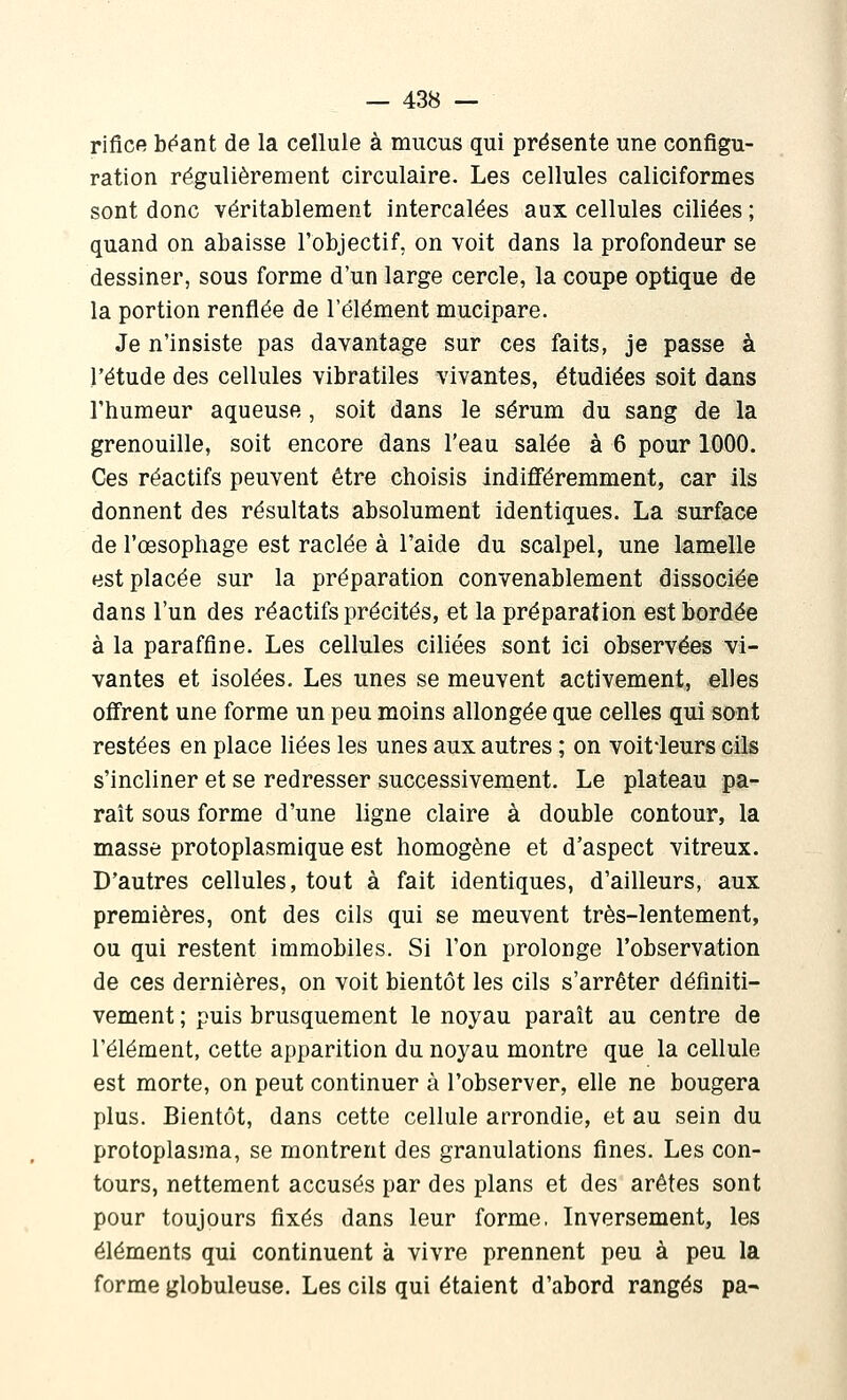 rificft bf^ant de la cellule à mucus qui présente une configu- ration régulièrement circulaire. Les cellules caliciformes sont donc véritablement intercalées aux cellules ciliées ; quand on abaisse l'objectif, on voit dans la profondeur se dessiner, sous forme d'un large cercle, la coupe optique de la portion renflée de l'élément mucipare. Je n'insiste pas davantage sur ces faits, je passe à l'étude des cellules vibratiles vivantes, étudiées soit dans l'humeur aqueuse, soit dans le sérum du sang de la grenouille, soit encore dans l'eau salée à 6 pour 1000. Ces réactifs peuvent être choisis indifféremment, car ils donnent des résultats absolument identiques. La surface de l'œsophage est raclée à l'aide du scalpel, une lamelle est placée sur la préparation convenablement dissociée dans l'un des réactifs précités, et la préparation est bordée à la paraffine. Les cellules ciliées sont ici observées vi- vantes et isolées. Les unes se meuvent activement, elles offrent une forme un peu moins allongée que celles qui sont restées en place liées les unes aux autres ; on voit*leurs cils s'incliner et se redresser successivement. Le plateau pa- raît sous forme d'une ligne claire à double contour, la masse protoplasmique est homogène et d'aspect vitreux. D'autres cellules, tout à fait identiques, d'ailleurs, aux premières, ont des cils qui se meuvent très-lentement, ou qui restent immobiles. Si l'on prolonge l'observation de ces dernières, on voit bientôt les cils s'arrêter définiti- vement ; puis brusquement le noyau paraît au centre de l'élément, cette apparition du noyau montre que la cellule est morte, on peut continuer à l'observer, elle ne bougera plus. Bientôt, dans cette cellule arrondie, et au sein du protoplasma, se montrent des granulations fines. Les con- tours, nettement accusés par des plans et des arêtes sont pour toujours fixés dans leur forme, Inversement, les éléments qui continuent à vivre prennent peu à peu la forme globuleuse. Les cils qui étaient d'abord rangés pa-