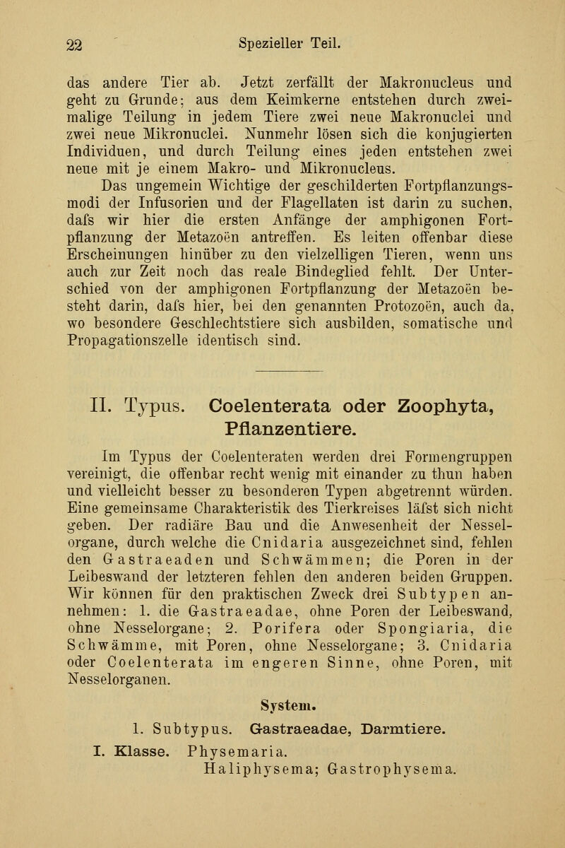 das andere Tier ab. Jetzt zerfällt der Makronucleus und geht zu Grunde; aus dem Keimkerne entstehen durch zwei- malige Teilung in jedem Tiere zwei neue Makronuclei und zwei neue Mikronuclei. Nunmehr lösen sich die konjugierten Individuen, und durch Teilung eines jeden entstehen zwei neue mit je einem Makro- und Mikronucleus. Das ungemein Wichtige der geschilderten Portpflanzungs- modi der Infusorien und der Flagellaten ist darin zu suchen, dafs wir hier die ersten Anfänge der amphigonen Fort- pflanzung der Metazoen antreffen. Es leiten offenbar diese Erscheinungen hinüber zu den vielzelligen Tieren, wenn uns auch zur Zeit noch das reale Bindeglied fehlt. Der Unter- schied von der amphigonen Fortpflanzung der Metazoen be- steht darin, dafs hier, bei den genannten Protozoen, auch da, wo besondere Geschlechtstiere sich ausbilden, somatische und Propagationszelle identisch sind. IL Typus. Coelenterata oder Zoophyta, Pflanzentiere. Im Typus der Coelenteraten werden drei Formengruppen vereinigt, die offenbar recht wenig mit einander zu thun haben und vielleicht besser zu besonderen Typen abgetrennt würden. Eine gemeinsame Charakteristik des Tierkreises läfst sich nicht geben. Der radiäre Bau und die Anwesenheit der Nessel- organe, durch welche die Cnidaria ausgezeichnet sind, fehlen den Gastraeaden und Schwämmen; die Poren in der Leibeswand der letzteren fehlen den anderen beiden Gruppen. Wir können für den praktischen Zweck drei Subtypen an- nehmen: 1. die Gastraeadae, ohne Poren der Leibeswand, ohne Nesselorgane; 2. Porifera oder Spongiaria, die Schwämme, mit Poren, ohne Nesselorgane; 3. Cnidaria oder Coelenterata im engeren Sinne, ohne Poren, mit Nesselorganen. System. L Subtypus. Gastraeadae, Darmtiere. I. Klasse. Physemaria. Haliphysema; Gastrophysema.