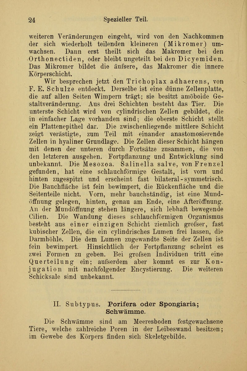 weiteren Verändermigeü eingeht, wird von den Nachkommen der sich wiederholt teilenden kleineren (Mikromer) um- wachsen. Dann erst theilt sich das Makromer bei den Orthonectiden, oder bleibt ungeteilt beiden Dicyemiden. Das Mikromer bildet die äufsere, das Makromer die innere Körperschicht. Wir besprechen jetzt den Trichoplax adhaerens, von F. E. Schulze entdeckt. Derselbe ist eine dünne Zellenplatte, die auf allen Seiten Wimpern trägt; sie besitzt amöboide Ge- staltveränderung. Aus drei Schichten besteht das Tier. Die unterste Schicht wird von cylindrischen Zellen gebildet, die in einfacher Lage vorhanden sind; die oberste Schicht stellt ein Plattenepithel dar. Die zwischenliegende mittlere Schicht zeigt verästigte, zum Teil mit einander anastomosierende Zellen in hyaliner Grundlage. Die Zellen dieser Schicht hängen mit denen der unteren durch Fortsätze zusammen, die von den letzteren ausgehen. Fortpflanzung und Entwicklung sind unbekannt. Die Mesozoa. Salinella salve, vonFrenzel gefunden, hat eine schlauchförmige Gestalt, ist vorn und hinten zugespitzt und erscheint fast bilateral-symmetrisch. Die Bauchfläche ist fein bewimpert, die Eückenfläche und die Seitenteile nicht. Vorn, mehr bauchständig, ist eine Mund- öffnung gelegen, hinten, genau am Ende, eine Afteröffnung. All der Mundöffnung stehen längere, sich lebhaft bewegende Cilien. Die Wandung dieses schlauchförmigen Organismus besteht aus einer einzigen Schicht ziemlich grofser, fast kubischer Zellen, die ein cylindrisches Lumen frei lassen, die Darmhöhle. Die dem Lumen zugewandte Seite der Zellen ist fein bewimpert. Hinsichtlich der Fortpflanzung scheint es zwei Formen zu geben. Bei grofsen Individuen tritt eine Querteilung ein; aufserdem aber kommt es zur Kon- jugation mit nachfolgender Encystierung. Die weiteren Schicksale sind unbekannt. II. Subtypus. Porifera oder Spongiaria; Schwämme. Die Schwämme sind am Meeresboden festgewachsene Tiere, welche zahlreiche Poren in der Leibeswand besitzen; im Gewebe des Körpers finden sich Skeletgebilde.