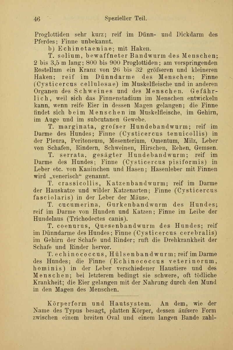 Proglottiden sehr kurz; reif im Dünn- und Dickdarm des Pferdes; Finne unbekannt. b) Echinotaeniae; mit Haken. T. solium, bewaffneter Bandwurm des Menschen; 2 bis 3,5 m lang; 800 bis 900 Proglottiden; am vorspringenden Rostellum ein Kranz von 26 bis 32 gröfseren und kleineren Haken; reif im Dünndarme des Menschen; Finne (Cysticercus cellulosae) im Muskelfleische und in anderen Organen des Schweines und des Menschen. Gefähr- lich, weil sich das Finnenstadium im Menschen entwickeln kann, wenn reife Eier in dessen Magen gelangen; die Finne findet sich beim Menschen im Muskelfleische, im Gehirn, im Auge und im subcutanen Gewebe. T. marginata, grofser Hundebandwurm; reif im Darme des Hundes; Finne (Cysticercus tenuicollis) in der Pleura, Peritoneum, Mesenterium, Omentum, Milz, Leber von Schafen, Rindern, Schweinen, Hirschen, Eehen, Gemsen. T. serrata, gesägter Hundebandwurm; reif im Darme des Hundes; Finne (Cysticercus pisiformis) in Leber etc. von Kaninchen und Hasen; Hasenleber mit Finnen wird „venerisch genannt. T. crassicollis, Katzenbandwurm; reif im Darme der Hauskatze und wilder Katzenarten; Finne (Cysticercus fasciolaris) in der Leber der Mäuse. T. cucumerina, Gurkenbandwurm des Hundes; reif im Darme von Hunden und Katzen; Finne im Leibe der Hundelaus (Trichodectes canis). T. coenurus, Quesenbandwurm des Hundes; reif im Dünndarme des Hundes; Finne (Cysticercus cerebralis) im Gehirn der Schafe und Rinder; ruft die Drehkrankheit der Schafe und Rinder hervor. T. echinococcus,Hülsenband wurm; reif im Darme des Hundes; die Finne (Echinococcus veterinorum, hominis) in der Leber verschiedener Haustiere und des Menschen; bei letzterem bedingt sie schwere, oft tödliche Krankheit; die Eier gelangen mit der Nahrung durch den Mund in den Magen des Menschen. Körperform und Hautsystem. An dem, wie der Name des Typus besagt, platten Körper, dessen äufsere Form zwischen einem breiten Oval und einem langen Bande zahl-