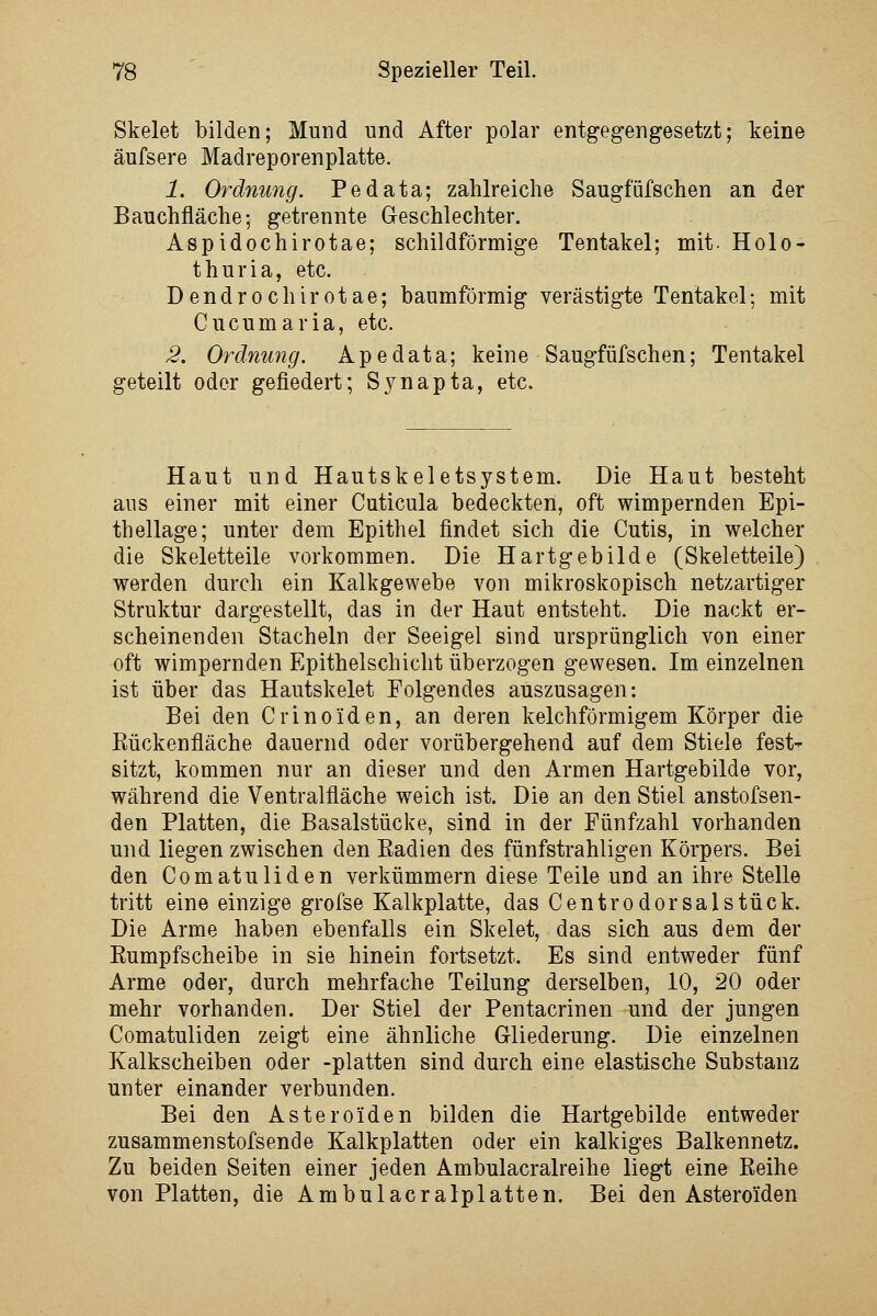 Skelet bilden; Mund und After polar entgegengesetzt; keine äufsere Madreporenplatte. 1. Ordnung. Pedata; zahlreiche Saugfüfschen an der Bauchfläche; getrennte Geschlechter. Aspidochirotae; schildförmige Tentakel; mit- Holo- thuria, etc. Dendrochirotae; baumförmig verästigte Tentakel; mit Cucumaria, etc. 2. Ordnung. Apedata; keine Saugfüfschen; Tentakel geteilt oder gefiedert; Synapta, etc. Haut und Hautskeletsystem. Die Haut besteht aus einer mit einer Cuticula bedeckten, oft wimpernden Epi- thellage; unter dem Epithel findet sich die Cutis, in welcher die Skeletteile vorkommen. Die Hartgebilde (Skeletteile) werden durch ein Kalkgewebe von mikroskopisch netzartiger Struktur dargestellt, das in der Haut entsteht. Die nackt er- scheinenden Stacheln der Seeigel sind ursprünglich von einer oft wimpernden Epithelschicht überzogen gewesen. Im einzelnen ist über das Hautskelet Folgendes auszusagen: Bei den Crinoiden, an deren kelchförmigem Körper die Eückenfläche dauernd oder vorübergehend auf dem Stiele fest- sitzt, kommen nur an dieser und den Armen Hartgebilde vor, während die Ventralfläche weich ist. Die an den Stiel anstofsen- den Platten, die Basalstücke, sind in der Fünfzahl vorhanden und liegen zwischen den Eadien des fünfstrahligen Körpers. Bei den Comatuliden verkümmern diese Teile und an ihre Stelle tritt eine einzige grofse Kalkplatte, das Centrodorsalstück. Die Arme haben ebenfalls ein Skelet, das sich aus dem der Eumpfscheibe in sie hinein fortsetzt. Es sind entweder fünf Arme oder, durch mehrfache Teilung derselben, 10, 20 oder mehr vorhanden. Der Stiel der Pentacrinen und der jungen Comatuliden zeigt eine ähnliche Gliederung. Die einzelnen Kalkscheiben oder -platten sind durch eine elastische Substanz unter einander verbunden. Bei den Asteroiden bilden die Hartgebilde entweder zusammenstofsende Kalkplatten oder ein kalkiges Balkennetz. Zu beiden Seiten einer jeden Ambulacralreihe liegt eine Reihe von Platten, die Ambulacralplatten. Bei den Asteroiden