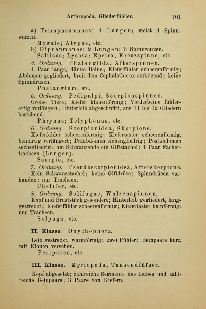 a) Tetrapneumones; 4 Lungen; meist 4 Spinn- warzen. Mygale; Atypus, etc. b) Dipneumones; 2 Lungen; 6 Spinnwarzen. Salticus; Lycosa; Epeira, Kreuzspinne, etc. 4. Ordnung. Phalangiida, Afterspinnen. 4 Paar lange, dünne Beine; Kieferfühler scheerenförmig; Abdomen gegliedert, breit dem Cephalothorax aufsitzend; keine Spinndrüsen. Phalangium, etc. 5. Ordnung. Pedipalpi, Scorpionspinnen. Grofse Tiere; Kiefer klauenförmig; Vorderbeine fühler- artig verlängert; Hinterleib abgeschnürt, aus 11 bis 12 Gliedern bestehend. Phrynus; Telyphonus, etc. 6. Ordnimg. Scorpionidea, Skorpione. Kieferfühler scheerenförmig; Kiefertaster scheerenförmig, beinartig verlängert; Präabdomen siebengliedrig; Postabdomen sechsgliedrig; am Schwanzende ein Giftstachel; 4 Paar Fächer- tracheen (Lungen). Scorpio, etc. 7. Ordnung. Pseudoscorpionidea, Afterskorpione. Kein Schwanzstachel; keine Giftdrüse; Spinndrüsen vor- handen; nur Tracheen. Chelifer, etc. 8. Ordnung. Solifugae, Walzenspinnen. Kopf und Bruststück gesondert; Hinterleib gegliedert, lang- gestreckt; Kieferfühler scheerenförmig; Kiefertaster beinförmig; nur Tracheen. Solpuga, etc. II. Klasse. Onychophora. Leib gestreckt, wurmförmig; zwei Fühler; Beinpaare kurz, mit Klauen versehen. Peripatus, etc. III. Klasse. Myriopoda, Tausendfüfser. Kopf abgesetzt; zahlreiche Segmente des Leibes und zahl- reiche Beinpaare; 3 Paare von Kiefern.