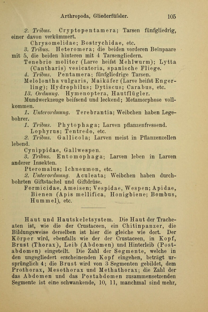 2. Tribus. Cryptopentamera; Tarsen fünfgliedrig^ einer davon verkümmert. Chrysomelidae; Bostrychidae, etc. 3. Tribus. Heteromera; die beiden vorderen Beinpaare mit 5, die beiden hinteren mit 4 Tarsengliedern. Tenebrio molitor (Larve heifst Mehlwurm); Lytta (Cantharis) vesicatoria, spanische Fliege. 4. Tribus. Pentamera; fünfgliedrige Tarsen. Melolontha vulgaris, Maikäfer (Larve heilst Enger- ling); Hydrophilus; Dytiscus; Carabus, etc. 13. Ordnung. Hymenoptera, Hautflügler. Mundwerkzeuge beifsend und leckend; Metamorphose voll- kommen. 1. Unterordnmig. Terebrantia; Weibchen haben Lege- bohrer. 1. Tribus. Phytophaga; Larven pflanzenfressend. Lophyrus; Tentredo, etc. 2. Tribus. Gallicola; Larven meist in Pflanzenzellen lebend. Cynippidae, Gallwespen. 3. Tribus. Entomophaga; Larven leben in Larven anderer Insekten. Pteromalus; Ichneumon, etc. 2. Unterord7iung. Aculeata; Weibchen haben durch- bohrten Giftstachel und Giftdrüse. Formicidae, Ameisen; Vespidae, Wespen; Apidae^ Bienen (Apis mellifica, Honigbiene; Bombus,. Hummel), etc. Haut und Hautskeletsystem. Die Haut der Trache- aten ist, wie die der Crustaceen, ein Chitinpanzer, die Bildungsweise derselben ist hier die gleiche wie dort. Der Körper wird, ebenfalls wie der der Crustaceen, in Kopf, Brust (Thorax), Leib (Abdomen) und Hinterleib (Post- abdomen) eingeteilt. Die Zahl der Segmente, welche in den ungegliedert erscheinenden Kopf eingehen, beträgt ur- sprünglich 4; die Brust wird von 3 Segmenten gebildet, dem Prothorax, Mesothorax und Methathorax; die Zahl der das Abdomen und das Postabdomen zusammensetzenden Segmente ist eine schwankende, 10, 11, manchmal sind mehr^