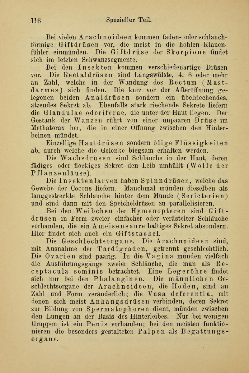 Bei vielen Arachnoideen kommen faden- oder schlauch- förmige Giftdrüsen vor, die meist in die hohlen Klauen- fühler einmünden. Die Giftdrüse der Skorpione findet sich im letzten Schwanzsegmente. Bei den Insekten kommen verschiedenartige Drüsen vor. Die Eectaldrüsen sind Längswülste, 4, 6 oder mehr an Zahl, welche in der Wandung des Eectum (Mast- darmes) sich finden. Die kurz vor der Afteröffnung ge- legenen beiden Analdrüsen sondern ein übelriechendes, ätzendes Sekret ab. Ebenfalls stark riechende Sekrete liefern die Glandulae odoriferae, die unter der Haut liegen. Der Gestank der Wanzen rührt von einer unpaaren Drüse im Methatorax her, die in einer Öffnung zwischen den Hinter- beinen mündet. Einzellige Hautdrüsen sondern ölige Flüssigkeiten ab, durch welche die Gelenke biegsam erhalten werden. Die Wac'hsdrüsen sind Schläuche in der Haut, deren fädiges oder flockiges Sekret den Leib umhüllt (Wolle der Pflanzenläuse). Die Insektenlarven haben Spinndrüsen, welche das Gewebe der Cocons liefern. Manchmal münden dieselben als langgestreckte Schläuche hinter dem Munde (Sericterien) und sind dann mit den Speicheldrüsen zu parallelisieren. Bei den Weibchen der Hymenopteren sind Gift- drüsen in Form zweier einfacher oder verästelter Schläuche vorhanden, die ein Ameisensäure haltiges Sekret absondern. Hier findet sich auch ein Giftstachel. Dis Geschlechtsorgane. Die Arachnoideen sind, mit Ausnahme der Tardigraden, getrennt geschlechtlich. Die Ovarien sind paarig. In die Vagina münden vielfach die Ausführungsgänge zweier Schläuche, die man als Re- ceptacula seminis betrachtet. Eine Legeröhre findet sich nur bei den Phalanginen. Die männlichen Ge- schlechtsorgane der Arachnoideen, die Hoden, sind an Zahl und Form veränderlich; die Vasa deferentia, mit denen sich meist Anhangsdrüsen verbinden, deren Sekret zur Bildung von Spermatophoren dient, münden zwischen den Lungen an der Basis des Hinterleibes. Nur bei wenigen Gruppen ist ein Penis vorhanden; bei den meisten funktio- nieren die besonders gestalteten Palpen als Begattungs- organe.