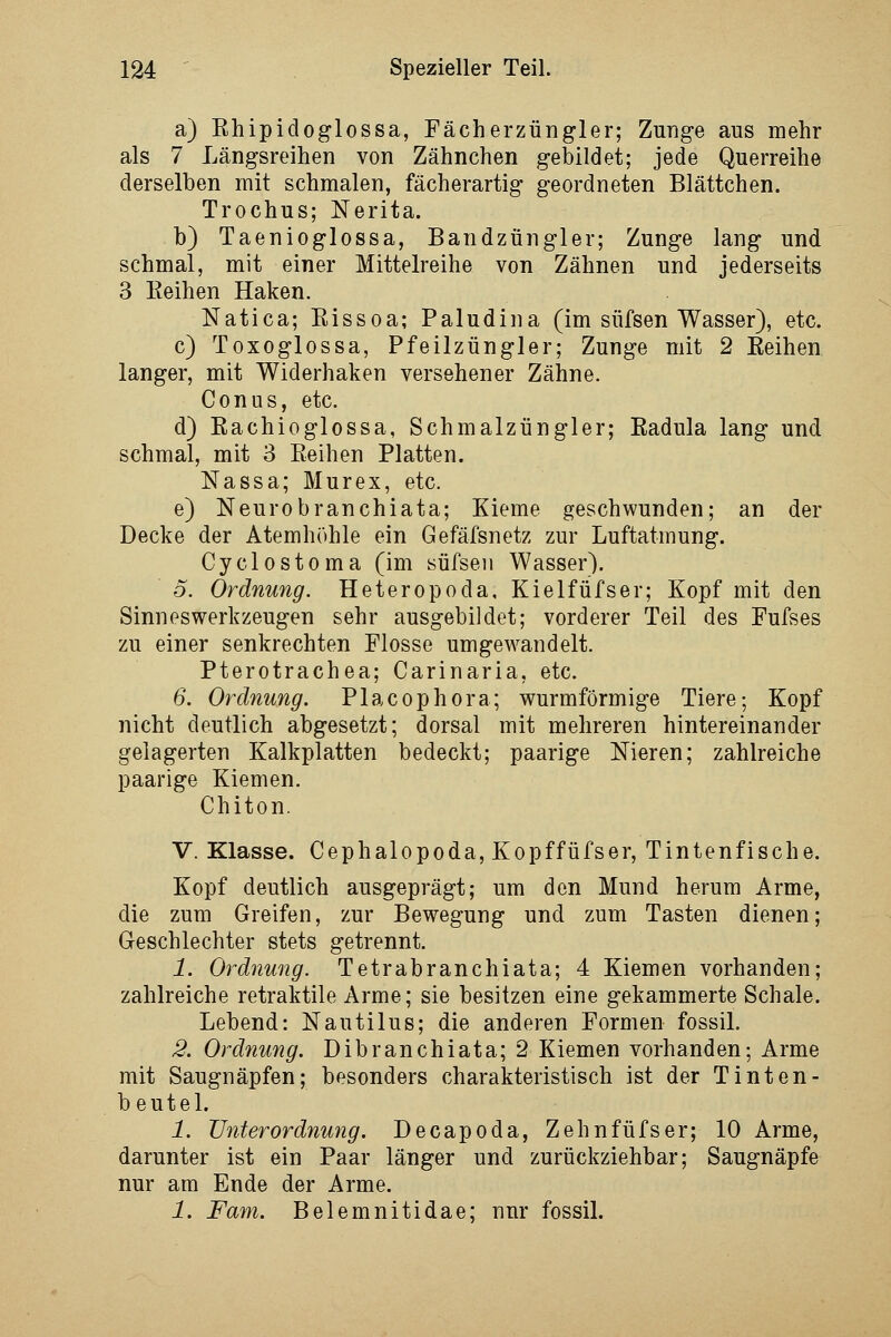 a) Ehipidoglossa, Fächerzüngler; Zunge aus mehr als 7 Längsreihen von Zähnchen gebildet; jede Querreihe derselben mit schmalen, fächerartig geordneten Blättchen. Trochus; Nerita. b) Taenioglossa, Bandzüngler; Zunge lang und schmal, mit einer Mittelreihe von Zähnen und jederseits 3 Eeihen Haken. Natica; Eissoa; Paludina (im süfsen Wasser), etc. c) Toxoglossa, Pfeilzüngler; Zunge mit 2 Eeihen langer, mit Widerhaken versehener Zähne. Conus, etc. d) Eachioglossa, Schmalzüngler; Eadula lang und schmal, mit 3 Eeihen Platten. Nassa; Murex, etc. e) Neurobranchiata; Kieme geschwunden; an der Decke der Atemhöhle ein Gefäfsnetz zur Luftatmung. Cyclostoma (im süfsen Wasser). 0. Ordnung. Heteropoda. Kielfüfser; Kopf mit den Sinnoswerkzeugen sehr ausgebildet; vorderer Teil des Fufses zu einer senkrechten Flosse umgewandelt. Pterotrachea; Carinaria, etc. 6. Ordnung. Placophora; wurmförmige Tiere; Kopf nicht deutlich abgesetzt; dorsal mit mehreren hintereinander gelagerten Kalkplatten bedeckt; paarige Nieren; zahlreiche paarige Kiemen. Chiton. V.Klasse. Cephalopoda, Kopffüfser, Tintenfische. Kopf deutlich ausgeprägt; um den Mund herum Arme, die zum Greifen, zur Bewegung und zum Tasten dienen; Geschlechter stets getrennt. 1. Ordnung. Tetrabranchiata; 4 Kiemen vorhanden; zahlreiche retraktile Arme; sie besitzen eine gekammerte Schale. Lebend: Nautilus; die anderen Formen fossil. 2. Ordnung. Dibranchiata; 2 Kiemen vorhanden; Arme mit Saugnäpfen; besonders charakteristisch ist der Tinten- beutel. 1. Unterordnung. Decapoda, Zehnfüfser; 10 Arme, darunter ist ein Paar länger und zurückziehbar; Saugnäpfe nur am Ende der Arme. 1. Farn. Belemnitidae: nur fossiL
