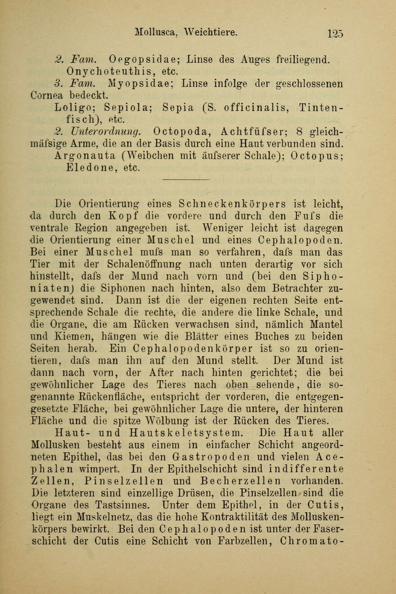 2. Farn. Oegopsidae; Linse des Auges freiliegend. Onychoteuthis, etc. 5. Farn. Myopsidae; Linse infolge der geschlossenen Cornea bedeckt. Loligo; Sepiola; Sepia (S. officinalis, Tinten- fisch), etc. 2. Unterordnung. Octopoda, Achtfüfser; 8 gleich- mälsige Arme, die an der Basis durch eine Haut verbunden sind. Argonauta (Weibchen mit äufserer Schale); Octopus; Eledone, etc. Die Orientierung eines Schneckenkörpers ist leicht, da durch den Kopf die vordere und durch den Fufs die ventrale Eegion angegeben ist. Weniger leicht ist dagegen die Orientierung einer Muschel und eines Cephalopoden. Bei einer Muschel mufs man so verfahren, dafs man das Tier mit der Schalenöffnung nach unten derartig vor sich hinstellt, dafs der Mund nach vorn und (bei den Sipho- niatenj die Siphonen nach hinten, also dem Betrachter zu- gewendet sind. Dann ist die der eigenen rechten Seite ent- sprechende Schale die rechte, die andere die linke Schale, und die Organe, die am Eücken verwachsen sind, nämlich Mantel und Kiemen, hängen wie die Blätter eines Buches zu beiden Seiten herab. Ein Cephalopoden kör per ist so zu orien- tieren, dafs man ihn auf den Mund stellt. Der Mund ist dann nach vorn, der After nach hinten gerichtet; die bei gewöhnlicher Lage des Tieres nach oben sehende, die so- genannte Eückenfläche, entspricht der vorderen, die entgegen- geset/.te Fläche, bei gewöhnlicher Lage die untere, der hinteren Fläche und die spitze Wölbung ist der Rücken des Tieres. Haut- und Hautskeletsystem. Die Haut aller Mollusken besteht aus einem in einfacher Schicht angeord- neten Epithel, das bei den Gastropoden und vielen Ace- phalen wimpert. In der Epithelschicht sind indifferente Zellen, Pinselzellen und Becherzellen vorhanden. Die letzteren sind einzellige Drüsen, die Pinselzellen sind die Organe des Tastsinnes. Unter dem Epithel, in der Cutis, liegt ein Muskelnetz, das die hohe Kontraktilität des Mollusken- körpers bewirkt. Bei den Cephalopoden ist unter der Faser- schicht der Cutis eine Schicht von Farbzellen, Chromate-