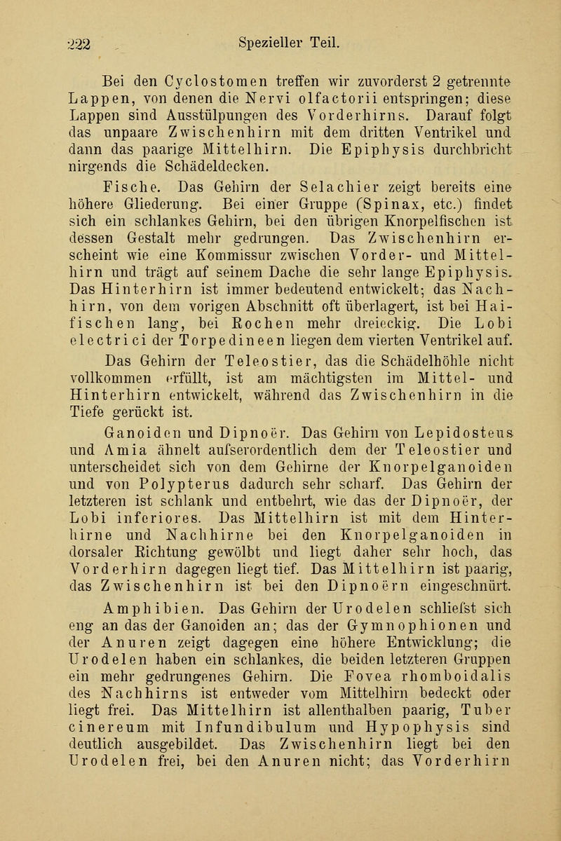 Bei den Cyclostomen treffen wir zuvorderst 2 getrennte Lappen, von denen die Nervi olfactorii entspringen; diese Lappen sind Ausstülpungen des Vorderhirns. Darauf folgt das unpaare Zwischenhirn mit dem dritten Ventrikel und dann das paarige Mittelhirn. Die Epiphysis durchbricht nirgends die Schädeldecken. Fische. Das Gehirn der Selachier zeigt bereits eine höhere Gliederung. Bei einer Gruppe (Spinax, etc.) findet sich ein schlankes Gehirn, bei den übrigen Knorpelfischen ist dessen Gestalt mehr gedrungen. Das Zwischenhirn er- scheint wie eine Kommissur zwischen Vorder- und Mittel- hirn und trägt auf seinem Dache die sehr lange Epiphysis. Das Hinterhirn ist immer bedeutend entwickelt; das Nach- hirn, von dem vorigen Abschnitt oft überlagert, ist bei Hai- fischen lang, bei Rochen mehr dreieckig. Die Lobi electrici der Torpedineen liegen dem vierten Ventrikel auf. Das Gehirn der Teleostier, das die Schädelhöhle nicht vollkommen erfüllt, ist am mächtigsten im Mittel- und Hinterhirn entwickelt, während das Zwischenhirn in die Tiefe gerückt ist. Ganoiden und Dipnoer. Das Gehirn von Lepidosteus und Amia ähnelt aufserordentlich dem der Teleostier und unterscheidet sich von dem Gehirne der Knorpel ganoiden und von Polypterus dadurch sehr scharf. Das Gehirn der letzteren ist schlank und entbehrt, wie das der Dipnoer, der Lobi inferiores. Das Mittelhirn ist mit dem Hinter- hirne und Nachhirne bei den Knorpelganoiden in dorsaler Richtung gewölbt und liegt daher sehr hoch, das Vorderhirn dagegen liegt tief. Das Mi11e 1 hirn ist paarig, das Zwischenhirn ist bei den Dipnoern eingeschnürt. Amphibien. Das Gehirn derUrodelen schliefst sich eng an das der Ganoiden an; das der Gymnophionen und der Anuren zeigt dagegen eine höhere Entwicklung; die Urodelen haben ein schlankes, die beiden letzteren Gruppen ein mehr gedrungenes Gehirn. Die Fovea rhomboidalis des Nachhirns ist entweder vom Mittelhirn bedeckt oder liegt frei. Das Mittelhirn ist allenthalben paarig, Tuber cinereum mit Infundibulum und Hypophysis sind deutlich ausgebildet. Das Zwischenhirn liegt bei den Urodelen frei, bei den Anuren nicht; das Vorderhirn