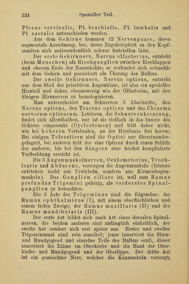 Plexus cervicalis, PL brachialis, PL lumbalis und PL sacralis unterschieden werden. Aus dem Gehirne konimen 12 Nervenpaare, deren segmentale Anordnung, bez. deren Zugehörigkeit zu den Kopf- somiten sich aufserordentlich schwer feststellen läfst. Der erste Gehirnnerv, Nervus olfactorius, entsteht (beim Menschen) als Eiechganglion zwischen Riechlappen und oberem Ende der Nasenhöhle; er verbindet sich sekundär mit dem Gehirn und persistiert als Überzug des Bulbus. Der zweite Gehirnnerv, Nervus opticus, entsteht aus dem Stiel der primitiven Augenblase, ist also ein spezieller Hirnteil und daher, ebensowenig wie der Olfactorius, mit den übrigen Hirnnerven zu homologisieren. Man unterscheidet am Sehnerven 3 Abschnitte, den Nervus opticus, den Tractus opticus und das Chiasma nervorum opticorum. Letzteres, die Sehnervenkreuzung, findet sich allenthalben, nur ist sie vielfach in das Innere des Gehirns eingesenkt (Cyclostomen) und tritt daher nicht, wie bei höheren Vertebraten, an der Hirnbasis frei hervor. Bei einigen Teleostiern sind die Optici nur übereinander- gelagert, bei anderen tritt der eine Opticus darch einen Schlitz des anderen, bis bei den Säugern eine höchst komplizierte Verflechtung erreicht ist. Die 3 Augenmuskelnerven, Oculomotorius, Troch- learis und Abducens, versorgen die Augenmuskeln (letztere entstehen nicht aus Urwirbeln, sondern aus Kiemenbogen- muskeln). Das Ganglion ciliare ist, weil zum Earaus profundus Trigemini gehörig, als vorderstes Spinal- ganglion zu betrachten. Die 3 Äste des Tr ige minus sind die folgenden: der Eamus ophthalmicus (I), mit einem oberflächlichen und einem tiefen Zweige, der Ramus m axillaris (II) und der Ramus mandibularis (III). Der erste Ast bildet sich nach Art eines dorsalen Spinal- nerven, die beiden anderen sind anfänglich einheitlich, der zweite Ast sondert sich erst später aus. Erster und zweiter Trigeminusast sind rein sensibel; jener innerviert die Stirn- und Mundgegend und einzelne Teile des Bulbus oculi, dieser innerviert die Zähne im Oberkiefer und die Haut der Ober- kiefer- und Mundgegend und der Oberlippe. Der dritte Ast ist ein gemischter Nerv, welcher die Kaumuskeln versorgt,