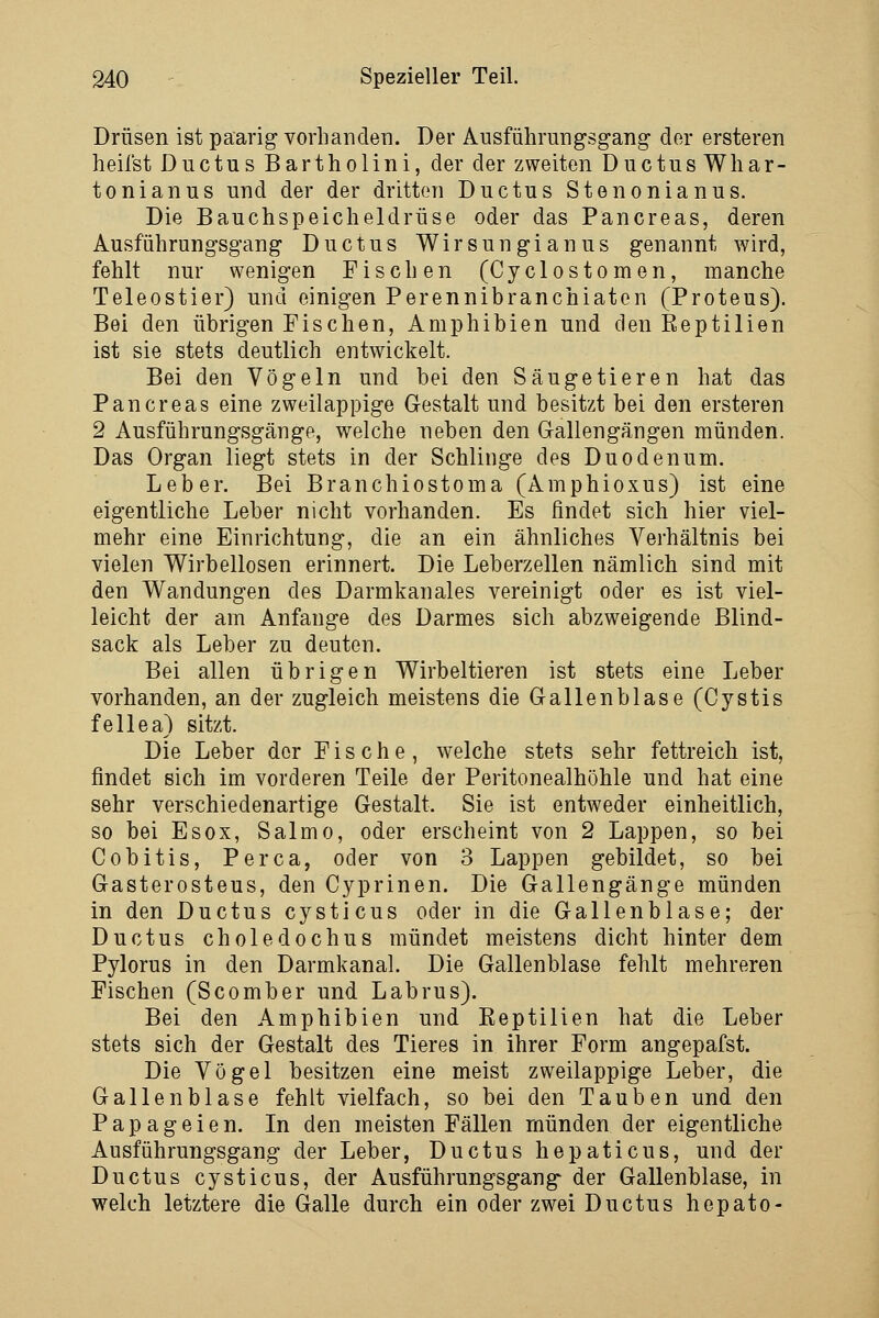 Drüsen ist paarig vorhanden. Der Ausführungsgang der ersteren heilst Ductus Bartholini, der der zweiten Ductus Whar- tonianus und der der dritten Ductus Stenonianus. Die Bauchspeicheldrüse oder das Pancreas, deren Ausführungsgang Ductus Wirsungianus genannt wird, fehlt nur wenigen Fischen (Cyclostomen, manche Teleostier) und einigen Perennibranchiaten (Proteus). Bei den übrigen Fischen, Amphibien und den Eeptilien ist sie stets deutlich entwickelt. Bei den Vögeln und bei den Säugetieren hat das Pancreas eine zweilappige Gestalt und besitzt bei den ersteren 2 Ausführungsgänge, welche neben den Gallengängen münden. Das Organ liegt stets in der Schlinge des Duodenum. Leber. Bei Branchiostoma (Amphioxus) ist eine eigentliche Leber nicht vorhanden. Es findet sich hier viel- mehr eine Einrichtung, die an ein ähnliches Verhältnis bei vielen Wirbellosen erinnert. Die Leberzellen nämlich sind mit den Wandungen des Darmkanales vereinigt oder es ist viel- leicht der am Anfange des Darmes sich abzweigende Blind- sack als Leber zu deuten. Bei allen übrigen Wirbeltieren ist stets eine Leber vorhanden, an der zugleich meistens die Gallenblase (Cystis fellea) sitzt. Die Leber der Fische, welche stets sehr fettreich ist, findet sich im vorderen Teile der Peritonealhöhle und hat eine sehr verschiedenartige Gestalt. Sie ist entweder einheitlich, so bei Esox, Salmo, oder erscheint von 2 Lappen, so bei Cobitis, Perca, oder von 3 Lappen gebildet, so bei Gasterosteus, den Cyprinen. Die Gallengänge münden in den Ductus cysticus oder in die Gallenblase; der Ductus choledochus mündet meistens dicht hinter dem Pylorus in den Darmkanal. Die Gallenblase fehlt mehreren Fischen (Scomber und Labrus). Bei den Amphibien und Eeptilien hat die Leber stets sich der Gestalt des Tieres in ihrer Form angepafst. Die Vögel besitzen eine meist zweilappige Leber, die Gallenblase fehlt vielfach, so bei den Tauben und den Papageien. In den meisten Fällen münden der eigentliche Ausführungsgang der Leber, Ductus hepaticus, und der Ductus cysticus, der Ausführungsgang der Gallenblase, in welch letztere die Galle durch ein oder zwei Ductus hepato-