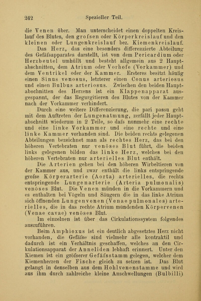 die Venen über. Man unterscheidet einen doppelten Kreis- lauf des Blutes, den grofsen oder Körperkreislauf und den kleinen oder Lungenkreislauf bez. Kiemenkreislauf. Das Herz, das eine besonders differenzierte Abteilung des Gefäfsapparates darstellt, ist von dem Pericardium oder Herzbeutel umhüllt und besteht allgemein aus 2 Haupt- abschnitten, dem Atrium oder Vorhofe (Vorkammer) und dem Ventrikel oder der Kammer. Ersteres besitzt häutig einen Sinus venosus, letzterer einen Conus arteriosus und einen Bulbus arteriosus. Zwischen den beiden Haupt- abschnitten des Herzens ist ein Klappenapparat aus- gespannt, der das Kegurgitieren des Blutes von der Kammer nach der Vorkammer verhindert. Durch eine weitere Differenzierung, die pari passu geht mit dem Auftreten der Lungenatmung, zerfällt jeder Haupt- abschnitt wiederum in 2 Teile, so dafs nunmehr eine rechte und eine linke Vorkammer und eine rechte und eine linke Kammer vorhanden sind. Die beiden rechts gelegenen Abteilungen bezeichnet man als rechtes Herz, das bei den höheren Vertebraten nur venöses Blut führt, die beiden links gelegenen bilden das linke Herz, welches bei den höheren Vertebraten nur arterielles Blut enthält. Die Arterien gehen bei den höheren Wirbeltieren von der Kammer aus, und zwar enthält die links entspringende grofse Körperarterie (Aorta) arterielles, die rechts entspringende Lungenarterie (Arteria pulmonalis) venöses Blut. Die Venen münden in die Vorkammern und es enthalten bei Vögeln und Säugern die in das linke Atrium sich öffnenden Lungenvenen (Venae pulmonales) arte- rielles, die in das rechte Atrium mündenden Körpervenen (Venae cavae) venöses Blut. Im einzelnen ist über das Cirkulationssystem folgendes auszuführen. Beim Amphioxus ist ein deutlich abgesetztes Herz nicht vorhanden, die Gefäfse sind vielmehr alle kontraktil und dadurch ist ein Verhältnis geschaffen, welches an den Cir- kulationsapparat der Anneliden lebhaft erinnert. Unter den Kiemen ist ein gröfserer Gefäfsstamm gelegen, welcher dem Kiemenherzen der Fische gleich zu setzen ist. Das Blut gelangt in denselben aus dem Hohlvenenstamme und wird aus ihm durch zahlreiche kleine Anschwellungen (Bulbilli)