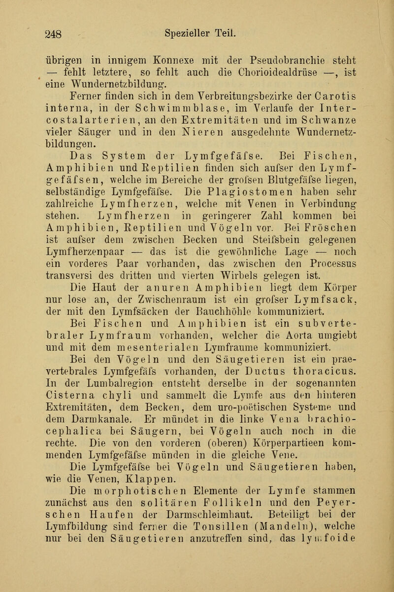 übrigen in innigem Konnexe mit der Pseudobranchie steht — fehlt letztere, so fehlt auch die Chorioidealdrüse —, ist eine Wundernetzbildung. Ferner finden sich in dem Verbreitungsbezirke der Carotis interna, in der Schwimmblase, im Verlaufe der Inter- costalarterien, an den Extremitäten und im Schwänze vieler Säuger und in den Nieren ausgedehnte Wundernetz- bildungen. Das System der Lymfgefäfse. Bei Fischen, Amphibien und Reptilien finden sich aufser den Lymf- gefäfsen, welche im Bereiche der grofsen Blutgefäfse liegen, selbständige Lymfgefäfse. Die Plagiostomen haben sehr zahlreiche Lymfherzen, welche mit Venen in Verbindung stehen. Lymfherzen in geringerer Zahl kommen bei Amphibien, Reptilien und Vögeln vor. Bei Fröschen ist aufser dem zwischen Becken und Steifsbein gelegenen Lymfherzenpaar — das ist die gewöhnliche Lage — noch ein vorderes Paar vorhanden, das zwischen den Processus transversi des dritten und vierten Wirbels gelegen ist. Die Haut der anuren Amphibien liegt dem Körper nur lose an, der Zwischenraum ist ein grofser Lymfsack, der mit den Lymfsäcken der Bauchhöhle kommuniziert. Bei Fischen und Amphibien ist ein subverte- braler Lymfraum vorhanden, welcher die Aorta umgiebt und mit dem mesenterialen Lymfraume kommuniziert. Bei den Vögeln und den Säugetieren ist ein prae- vertebrales Lymfgefäfs vorhanden, der Ductus thoracicus. In der Lumbairegion entsteht derselbe in der sogenannten Cisterna chyli und sammelt die Lymfe aus den hinteren Extremitäten, dem Becken, dem uro-poetischen Systeme und dem Darmkanale. Er mündet in die linke Vena brachio- cephalica bei Säugern, bei Vögeln auch noch in die rechte. Die von den vorderen (oberen) Körperpartieen kom- menden Lymfgefäfse münden in die gleiche Vene. Die Lymfgefäfse bei Vögeln und Säugetieren haben, wie die Venen, Klappen. Die morphotischen Elemente der Lymfe stammen zunächst aus den solitären Follikeln und den Peyer- sehen Haufen der Darmschleimhaut. Beteiligt bei der Lymfbildung sind ferner die Tonsillen (Mandeln), welche nur bei den Säugetieren anzutreffen sind, das lyiüfoide