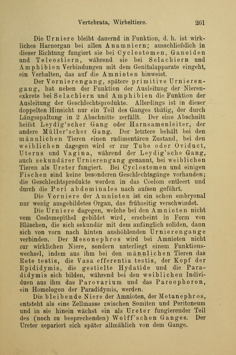 Die Urniere bleibt dauernd in Funktion, d. h. ist wirk- liches Harnorgan bei allen Anamniern; ausschliefslich in dieser Eichtung fungiert sie bei Cyclostomen, Ganoiden und Teleostiern, während sie bei Selachiern und Amphibien Verbindungen mit dem Genitalapparate eingeht, ein Verhalten, das auf die Amnioten hinweist. Der Vornierengang, spätere primitive Urnieren- gang, hat neben der Funktion der Ausleitung der Meren- exkrete bei Selachiern und Amphibien die Funktion der Ausleitung der Geschlechtsprodukte. Allerdings ist in dieser doppelten Hinsicht nur ein Teil des Ganges thätig, der durch Längsspaltung in 2 Abschnitte zerfällt. Der eine Abschnitt heifst Leydig'scher Gang oder Harnsamenleiter, der andere Müller's eher Gang. Der letztere behält bei den männlichen Tieren einen rudimentären Zustand, bei den weiblichen dagegen wird er zur Tube oder Oviduct, Uterus und Vagina, während der Leydig'sche Gang, auch sekundärer Urnierengang genannt, bei weiblichen Tieren als Ureter fungiert. Bei Cyclostomen und einigen Fischen sind keine besonderen Geschlechtsgänge vorhanden; die Geschlechtsprodukte werden in das Coelom entleert und durch die Fori abdominales nach aufsen geführt. Die Vorniere der Amnioten ist ein schon embryonal nur wenig ausgebildetes Organ, das frühzeitig verschwindet. Die Urniere dagegen, welche bei den Amnioten nicht vom Coelomepithel gebildet wird, erscheint in Form von Bläschen, die sich sekundär mit dem anfänglich soliden, dann sich von vorn nach hinten aushöhlenden Urnierengange verbinden. Der Mesonephros wird bei Amnioten nicht zur wirklichen Niere, sondern unterliegt einem Funktions- wechsel, indem aus ihm bei den männlichen Tieren das Eete testis, die Vasa efferentia testis, der Kopf der Epididymis, die gestielte Hydatide und die Para- didymis sich bilden, während bei den weiblichen Indivi- duen aus ihm das Parovarium und das Paroophoron, ein Homologen der Paradidymis, werden. Die bleibende Niere der Amnioten, der Metanephros, entsteht als eine Zellmasse zwischen Somiten und Peritoneum und in sie hinein wächst ein als Ureter fungierender Teil des (noch zu besprechenden) Wolff'sehen Ganges. Der Ureter separiert sich später allmählich von dem Gange.