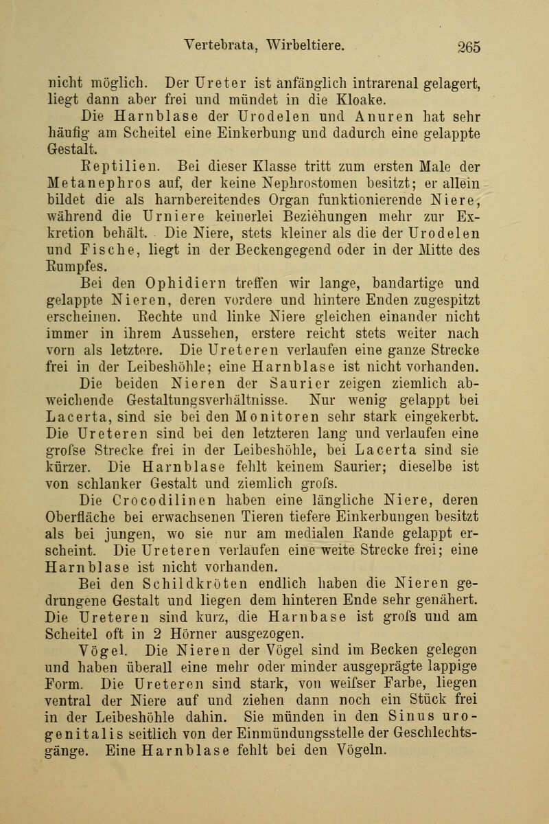 nicht möglich. Der Ureter ist anfänglich intrarenal gelagert, liegt dann aber frei und mündet in die Kloake. Die Harnblase der Urodelen und Anuren hat sehr häufig am Scheitel eine Einkerbung und dadurch eine gelappte Gestalt. Reptilien. Bei dieser Klasse tritt zum ersten Male der Metanephros auf, der keine Nephrostomen besitzt; er allein bildet die als harnbereitendes Organ funktionierende Niere, während die Urniere keinerlei Beziehungen mehr zur Ex- kretion behält. Die Niere, stets kleiner als die der Urodelen und Fische, liegt in der Beckengegend oder in der Mitte des Eumpfes. Bei den Ophidiern treffen wir lange, bandartige und gelappte Nieren, deren vordere und hintere Enden zugespitzt erscheinen. Rechte und linke Niere gleichen einander nicht immer in ihrem Aussehen, erstere reicht stets weiter nach vorn als letztere. Die Uroteren verlaufen eine ganze Strecke frei in der Leibeshöhle; eine Harnblase ist nicht vorhanden. Die beiden Nieren der Saurier zeigen ziemlich ab- weichende Gestaltungsverhältnisse. Nur wenig gelappt bei Lacerta, sind sie bei den Monitoren sehr stark eingekerbt. Die Ureteren sind bei den letzteren lang und verlaufen eine grofse Strecke frei in der Leibeshöhle, bei Lacerta sind sie kürzer. Die Harnblase fehlt keinem Saurier; dieselbe ist von schlanker Gestalt und ziemlich grofs. Die Crocodilinen haben eine längliche Niere, deren Oberfläche bei erwachsenen Tieren tiefere Einkerbungen besitzt als bei jungen, wo sie nur am medialen Rande gelappt er- scheint. Die Ureteren verlaufen eine weite Strecke frei; eine Harnblase ist nicht vorhanden. Bei den Schildkröten endlich haben die Nieren ge- drungene Gestalt und liegen dem hinteren Ende sehr genähert. Die Ureteren sind kurz, die Harnbase ist grofs und am Scheitel oft in 2 Hörner ausgezogen. Vögel. Die Nieren der Vögel sind im Becken gelegen und haben überall eine mehr oder minder ausgeprägte lappige Form. Die Ureteren sind stark, von weifser Farbe, liegen ventral der Niere auf und ziehen dann noch ein Stück frei in der Leibeshöhle dahin. Sie münden in den Sinus uro- genital is seitlich von der Einmündungssteile der Geschlechts- gänge. Eine Harnblase fehlt bei den Vögeln.