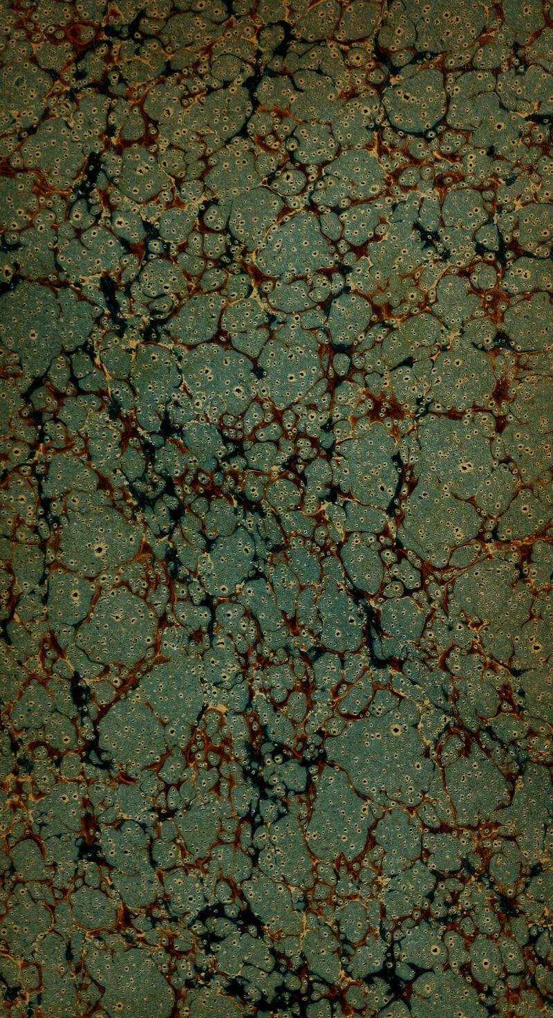 /. îï^' i < r^ M it ^ 4 Je >■ -iv^^^^ >* X^.' ^•^— «-i r ^V.\ 4r- yA^ ■ JcC ■fi ^V-^fi '^ >î,..j^